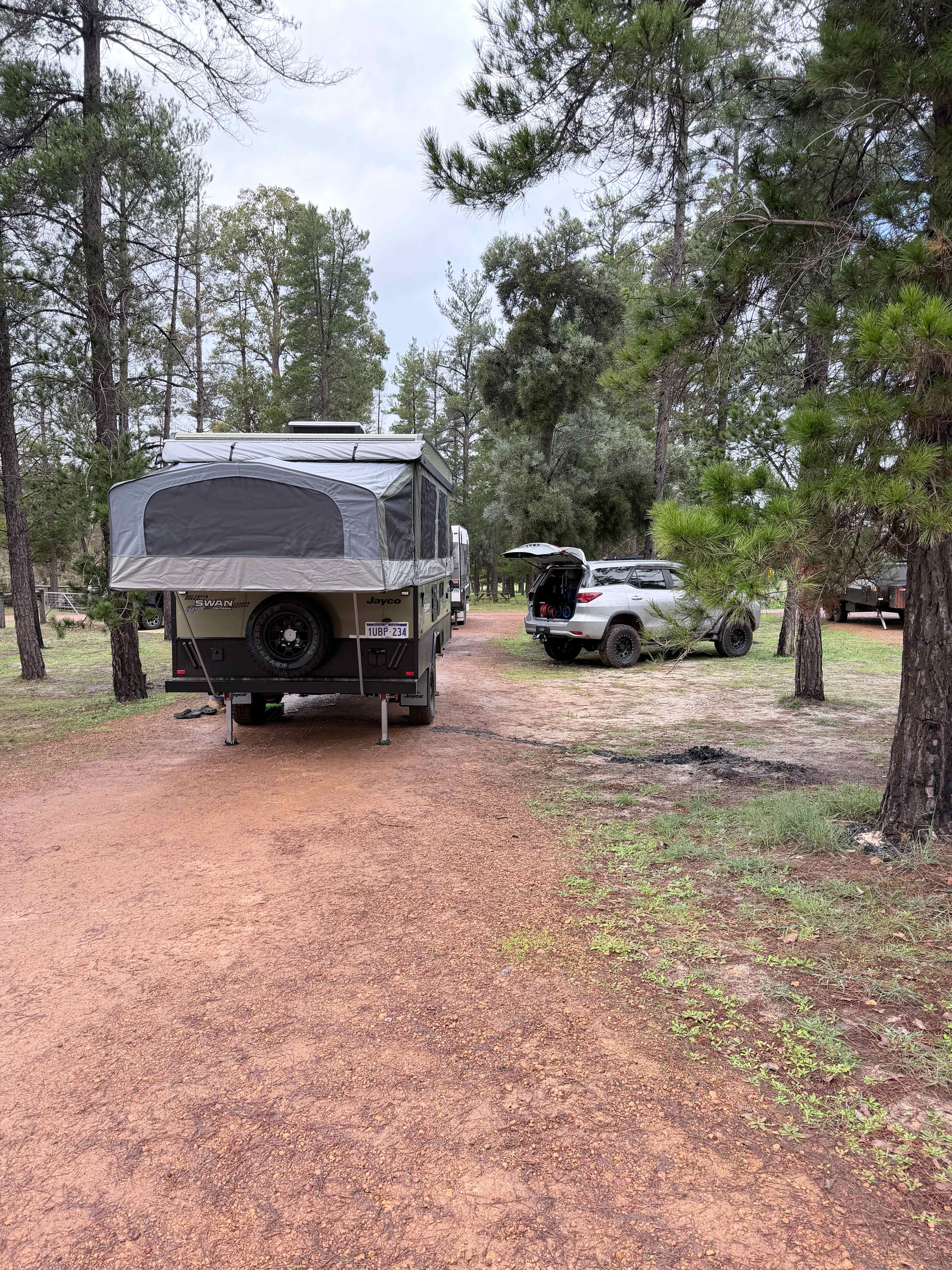 Little Eeden Farm Pine Camp
