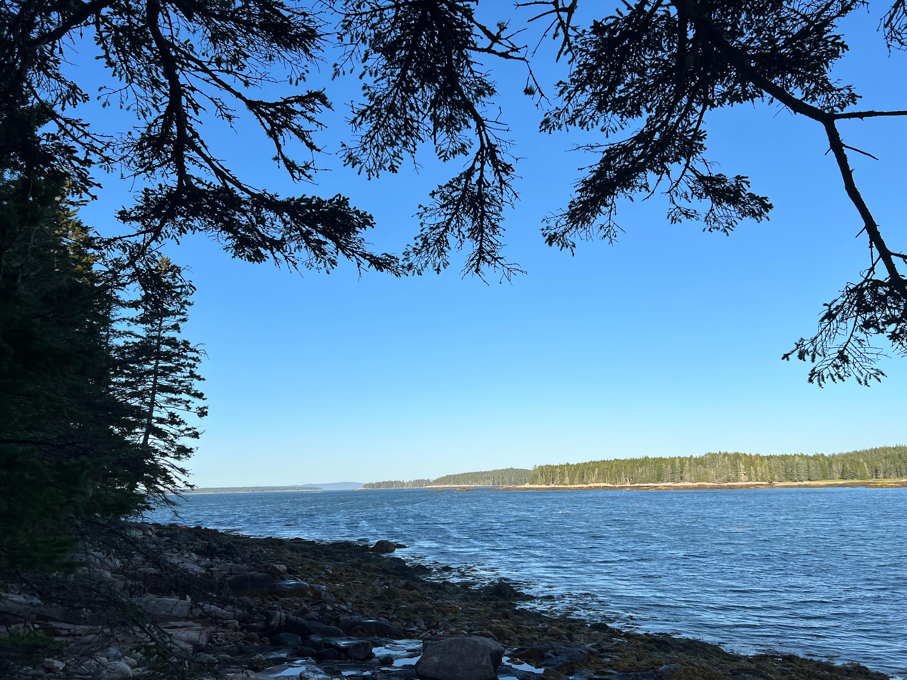 Oceanfront Camp on Swan’s Island