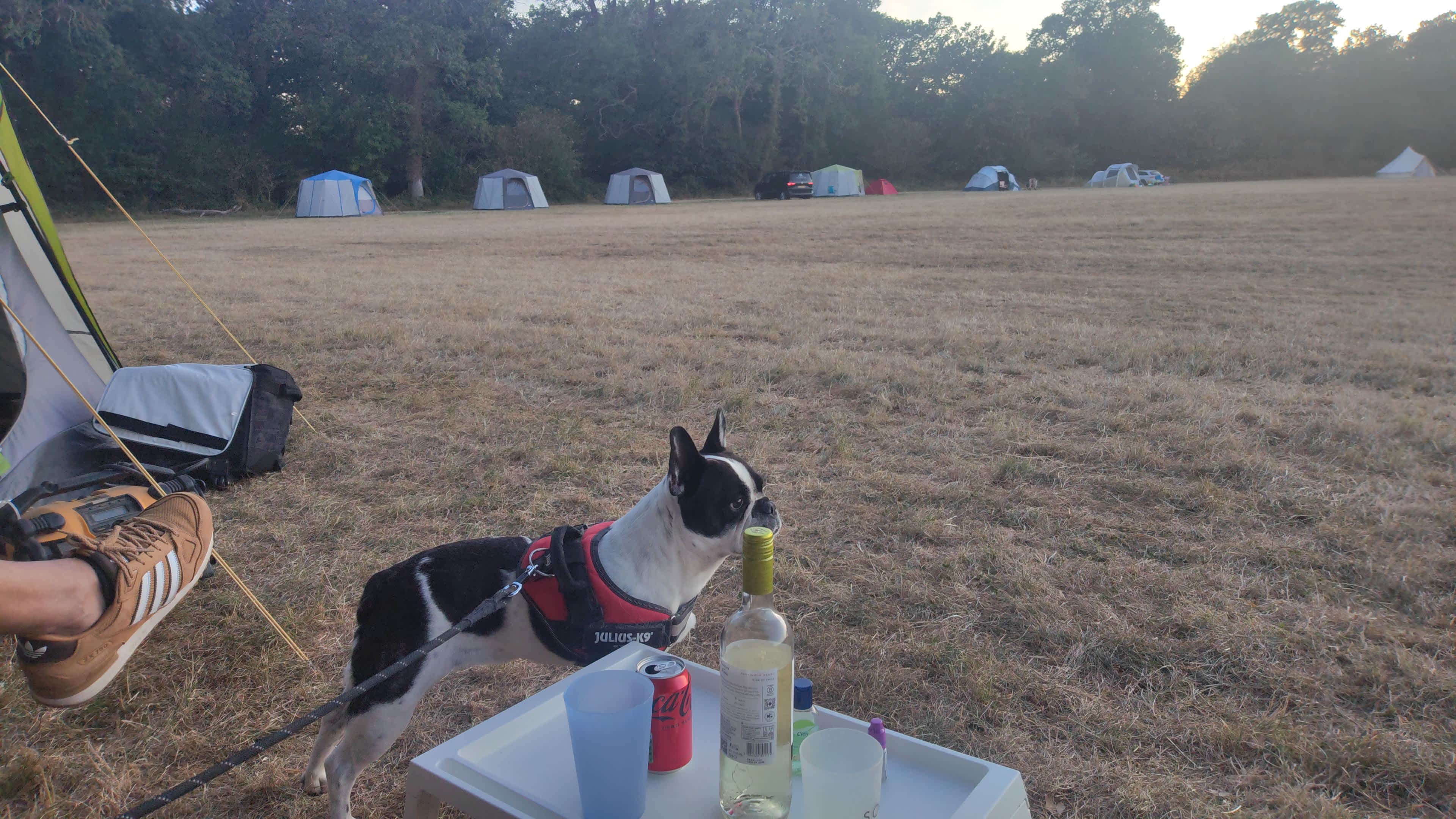In Nature Camping