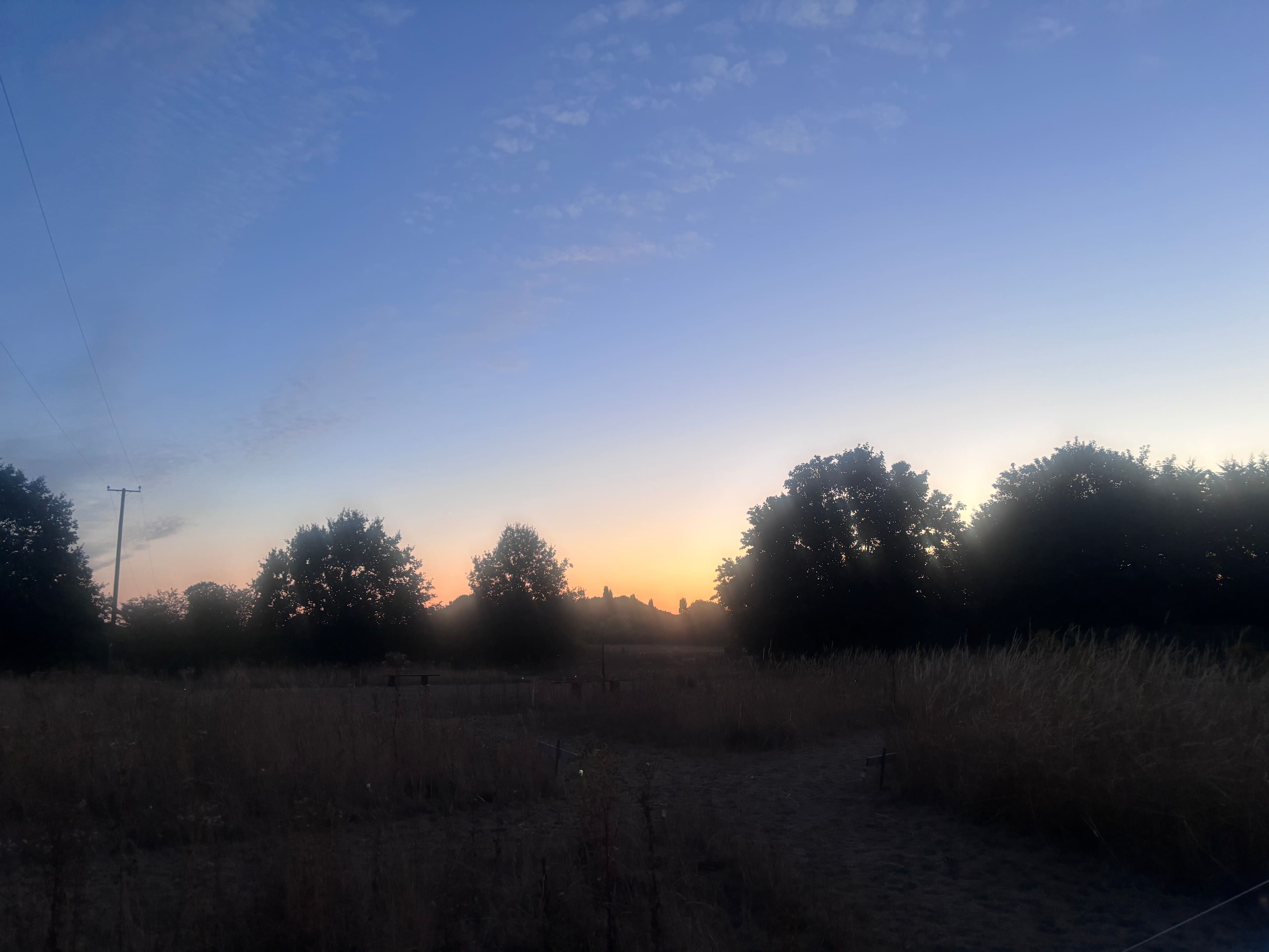 Goldcrest - Breakaway Camping