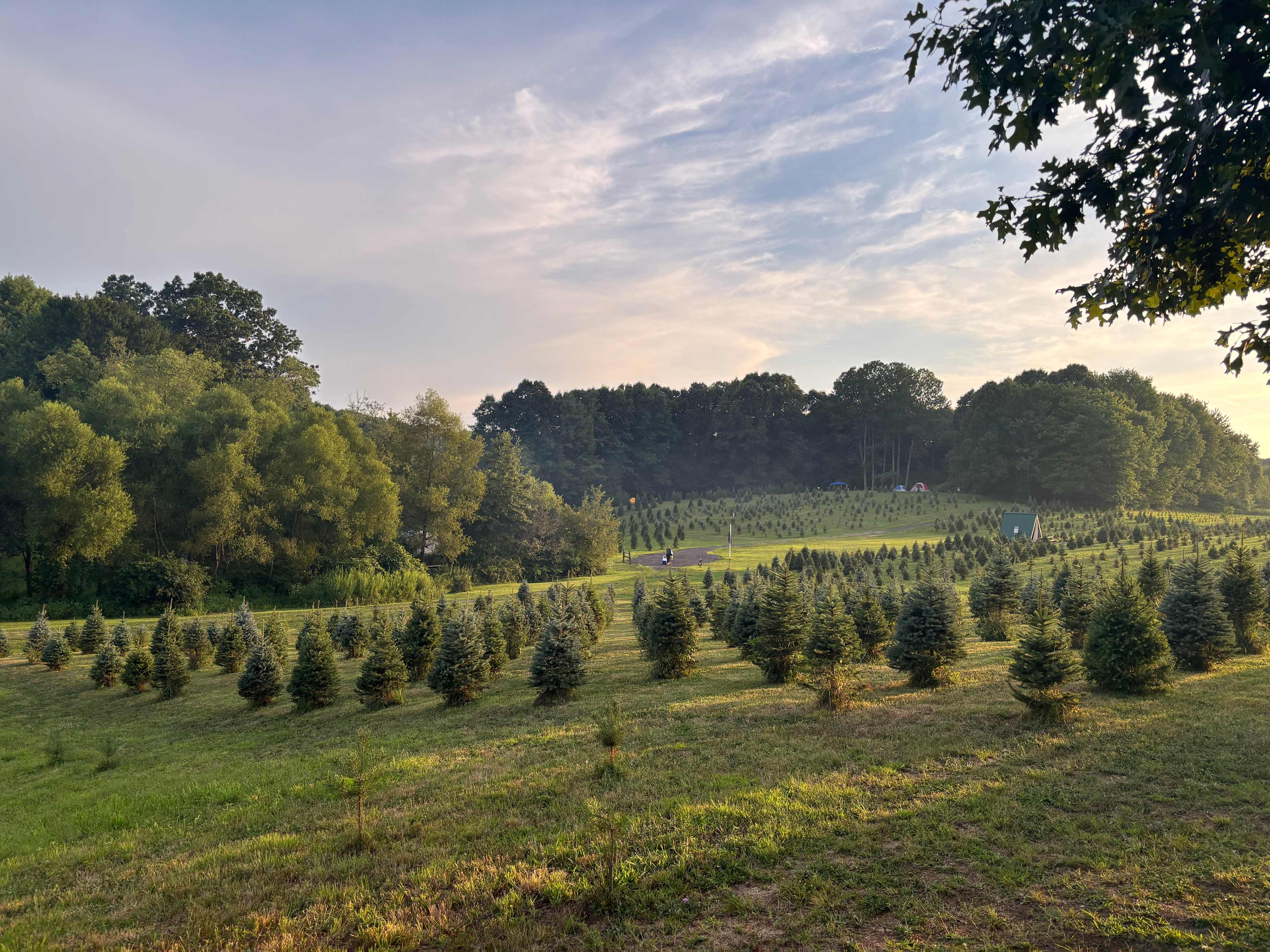 Camping at Heritage Farms