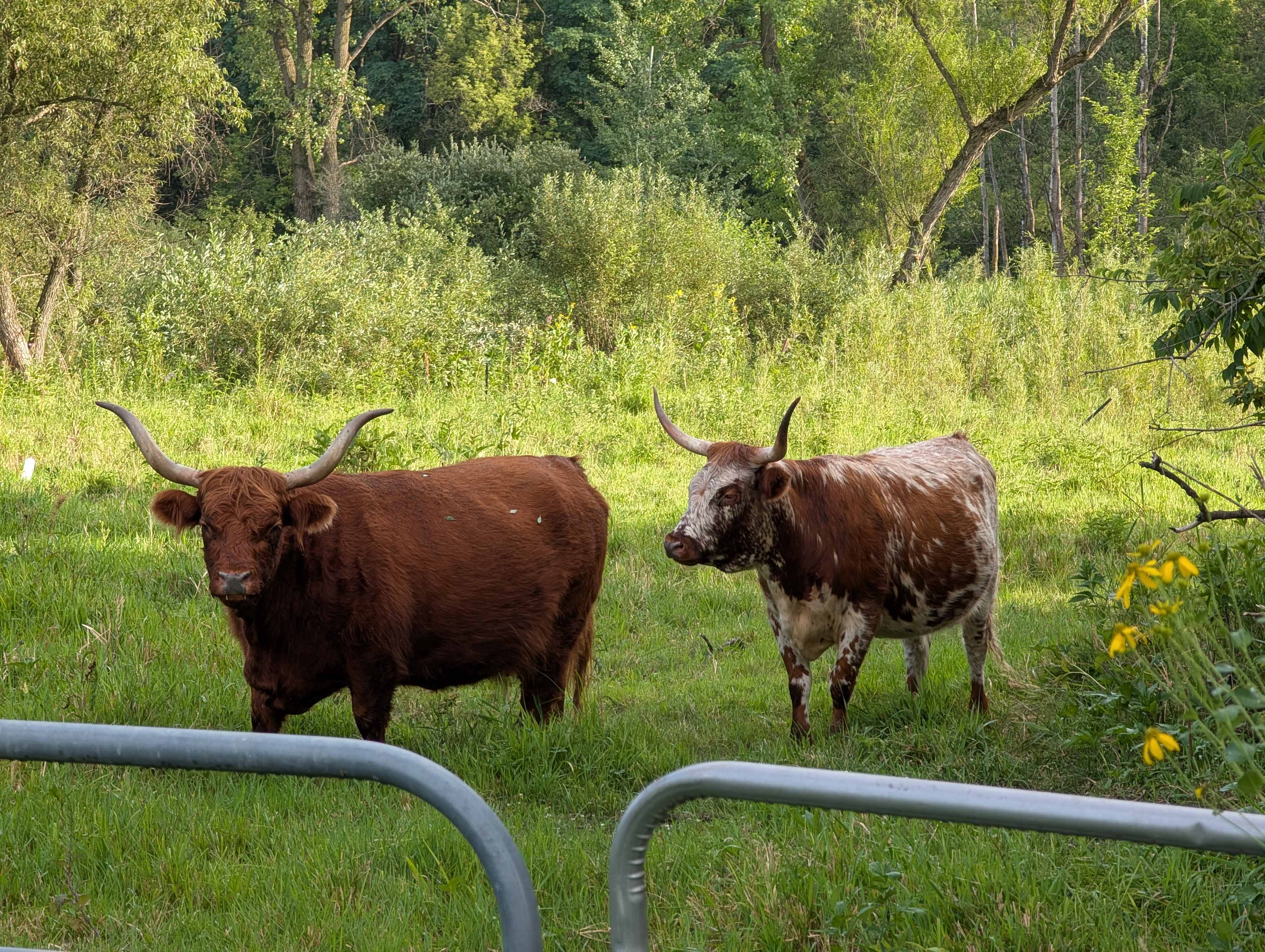 Pink River Ranch in the Driftless