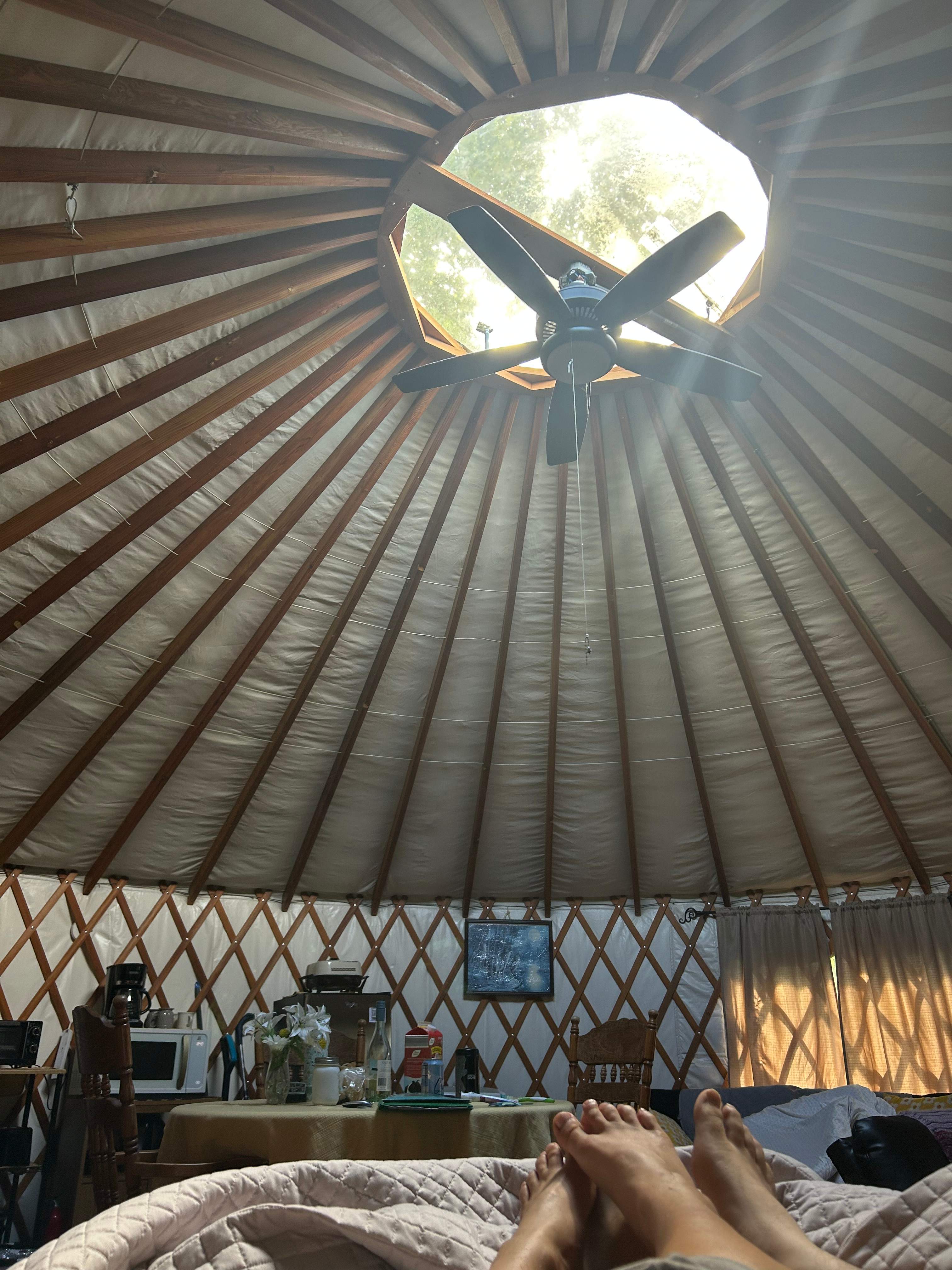 Yurt