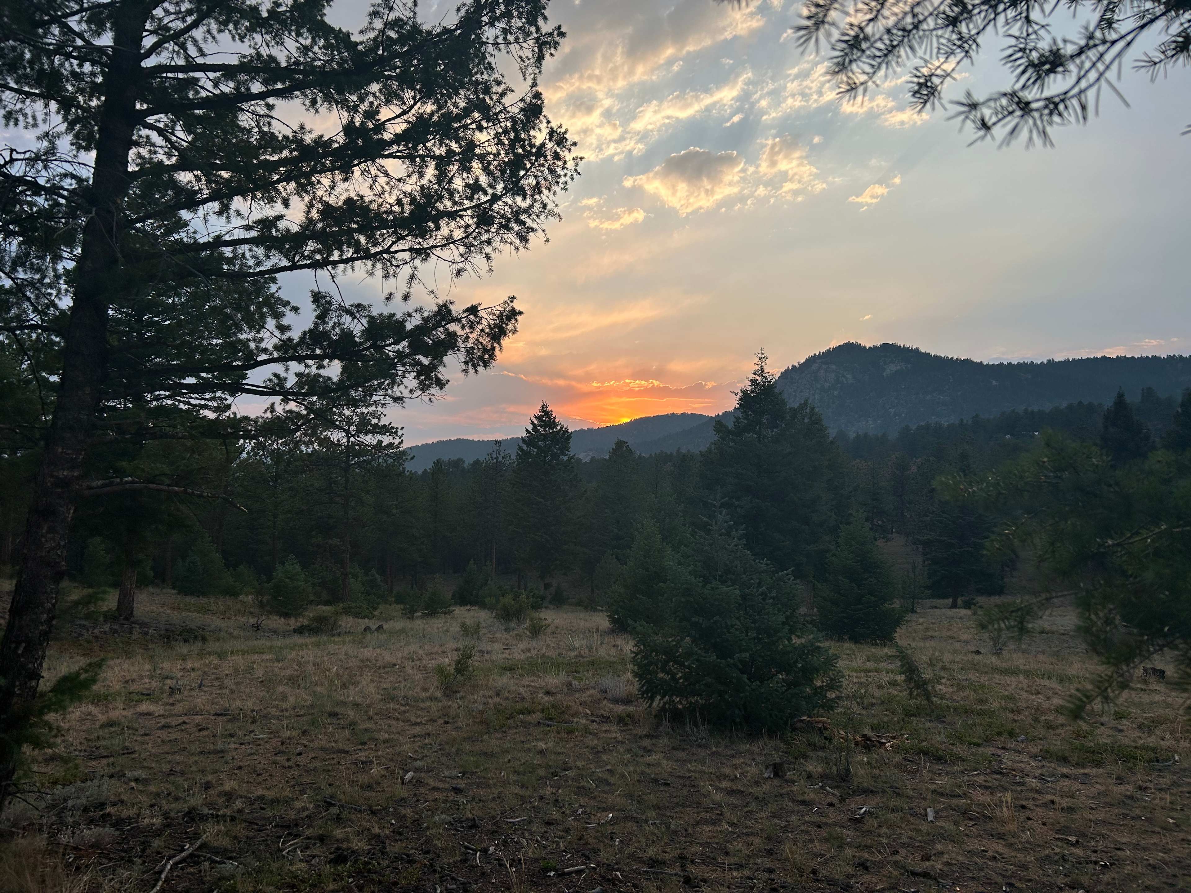 Serenity in the Foothills