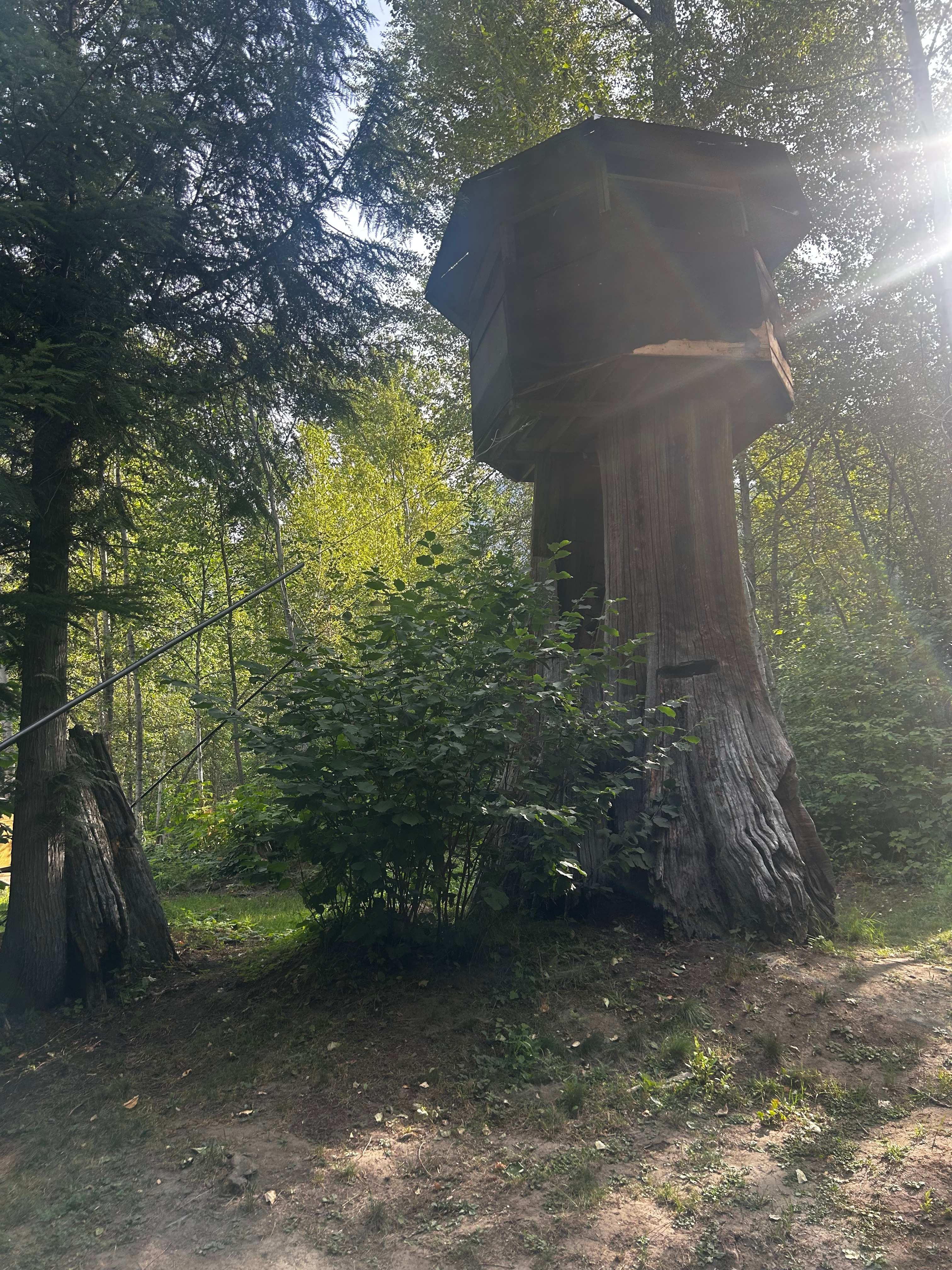 Treehouse at site #1
