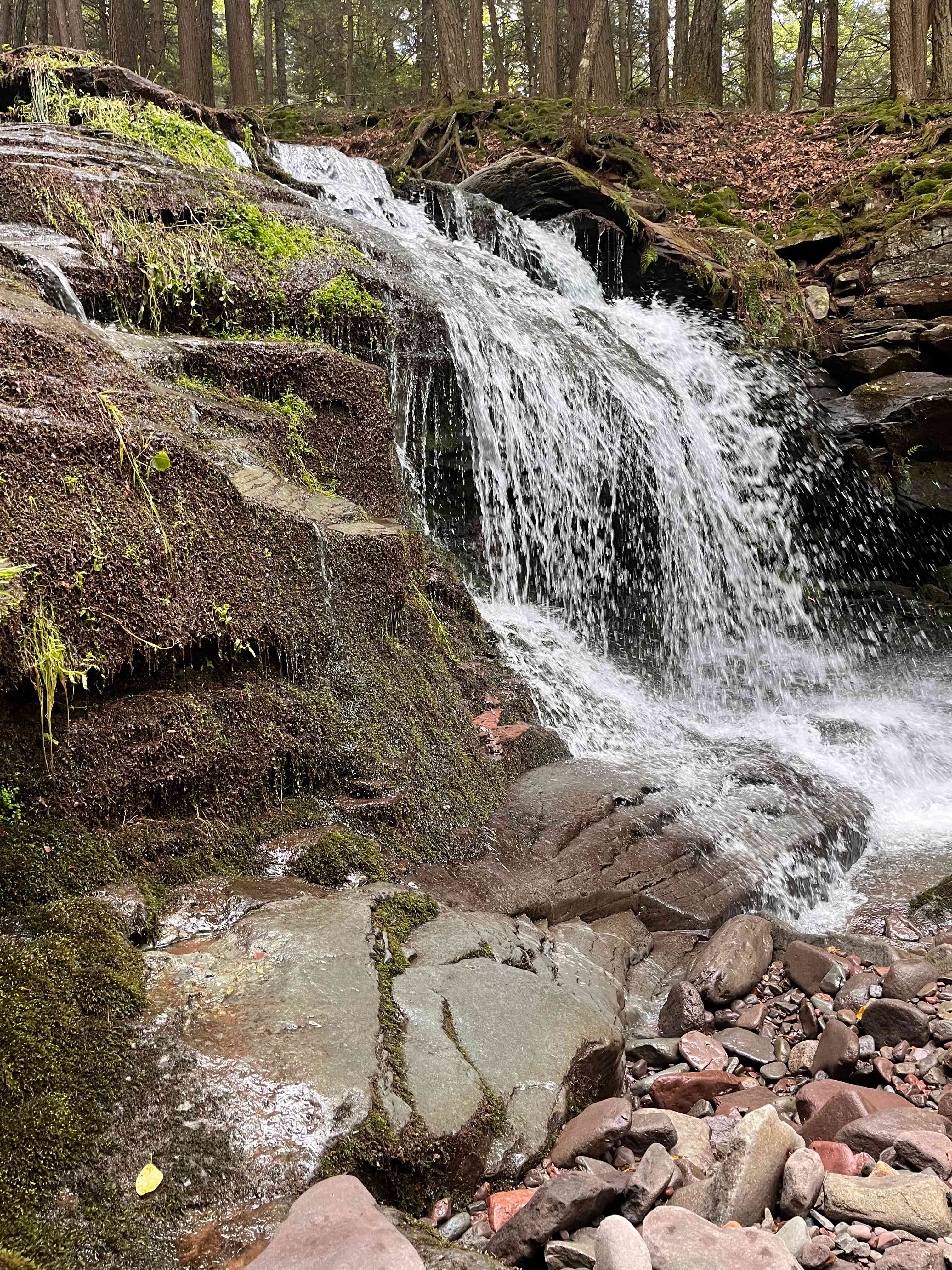 Timberland Falls