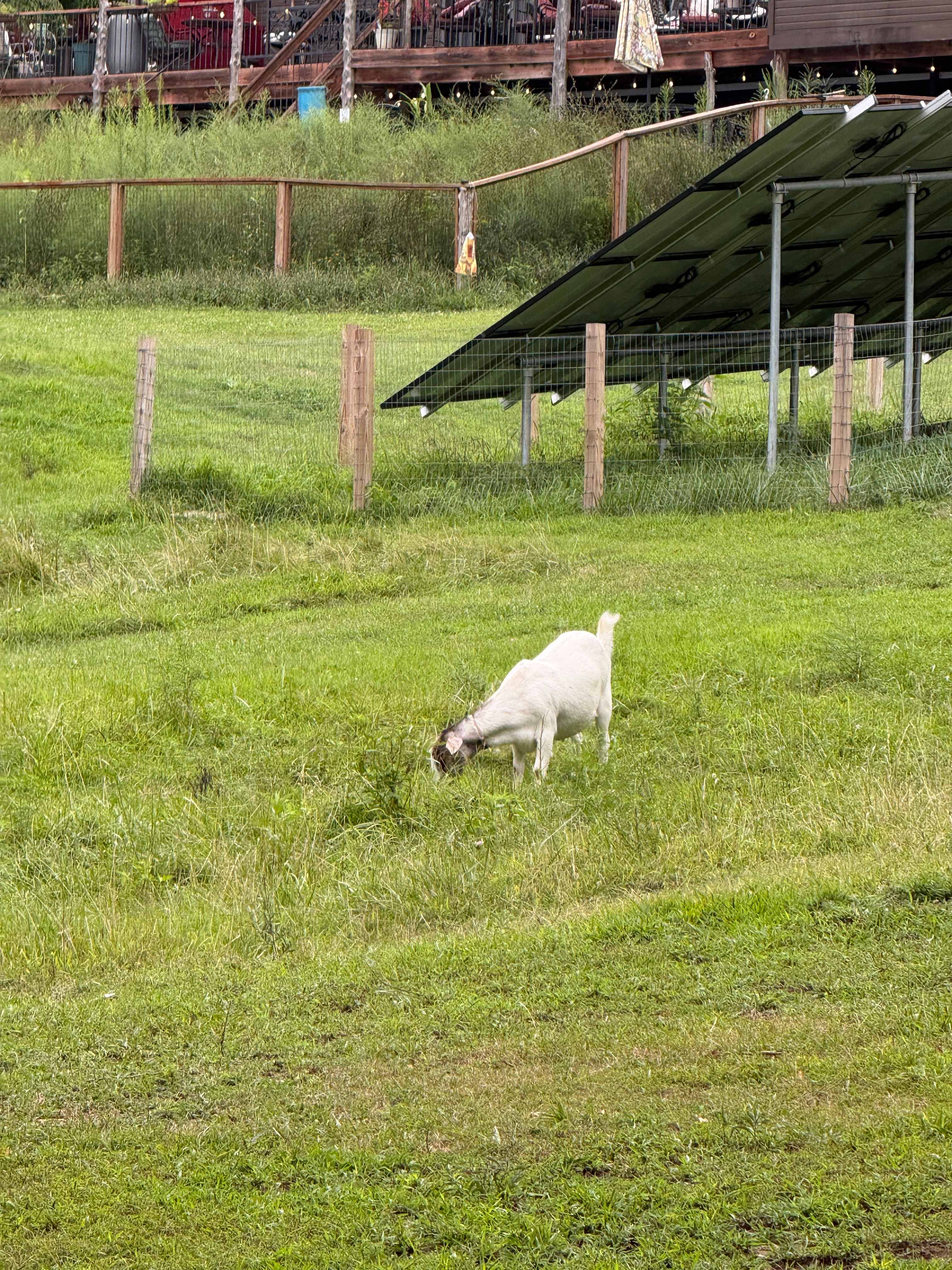 Milo Farm Sacred Land