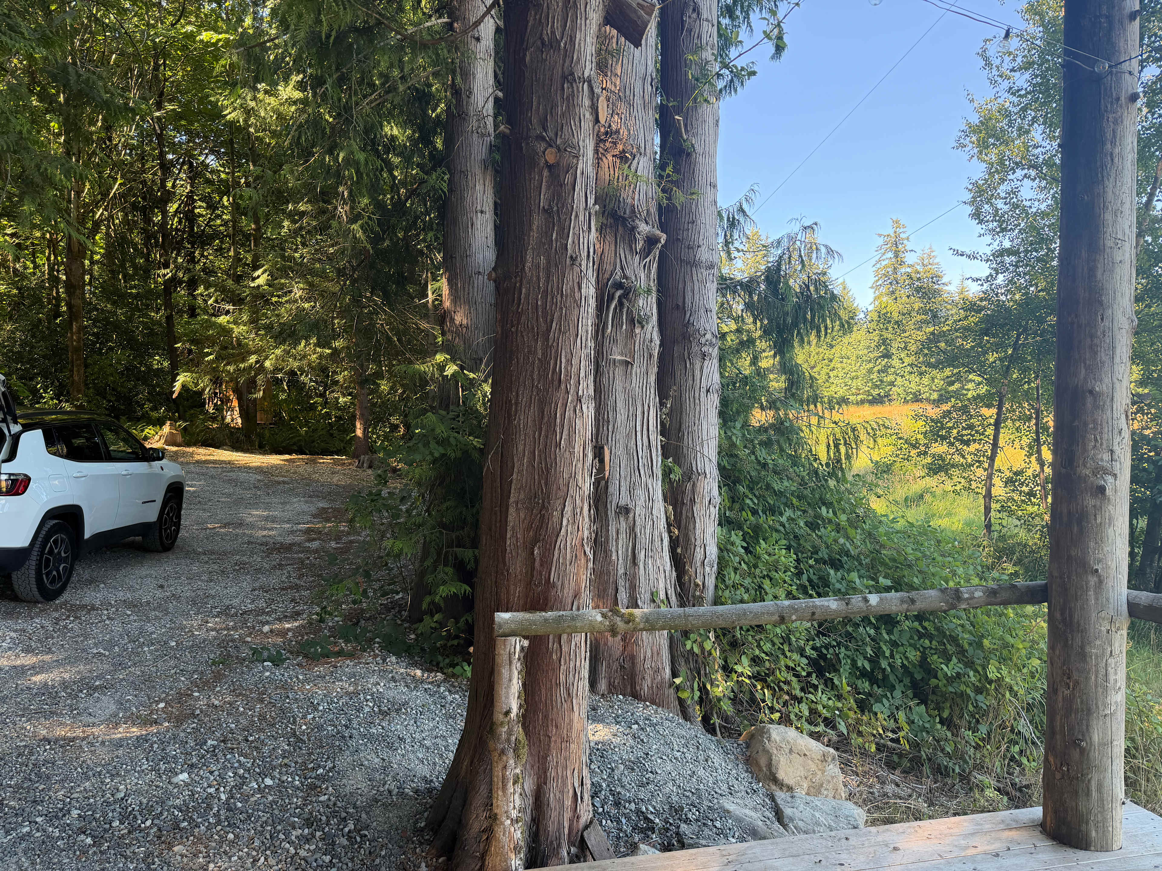 Swanrise Overlook