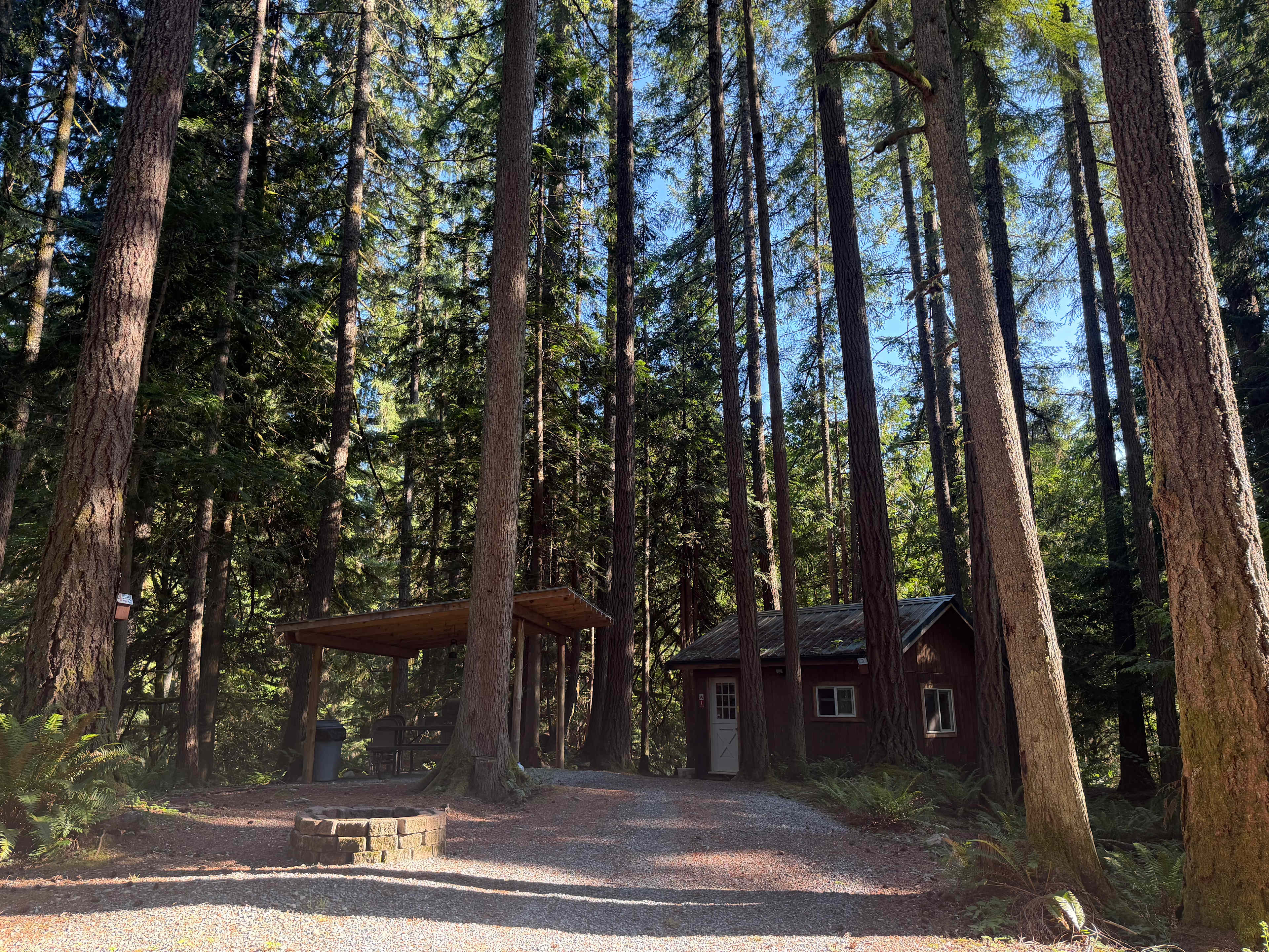 Grace E.’s Mini Forest Cabins