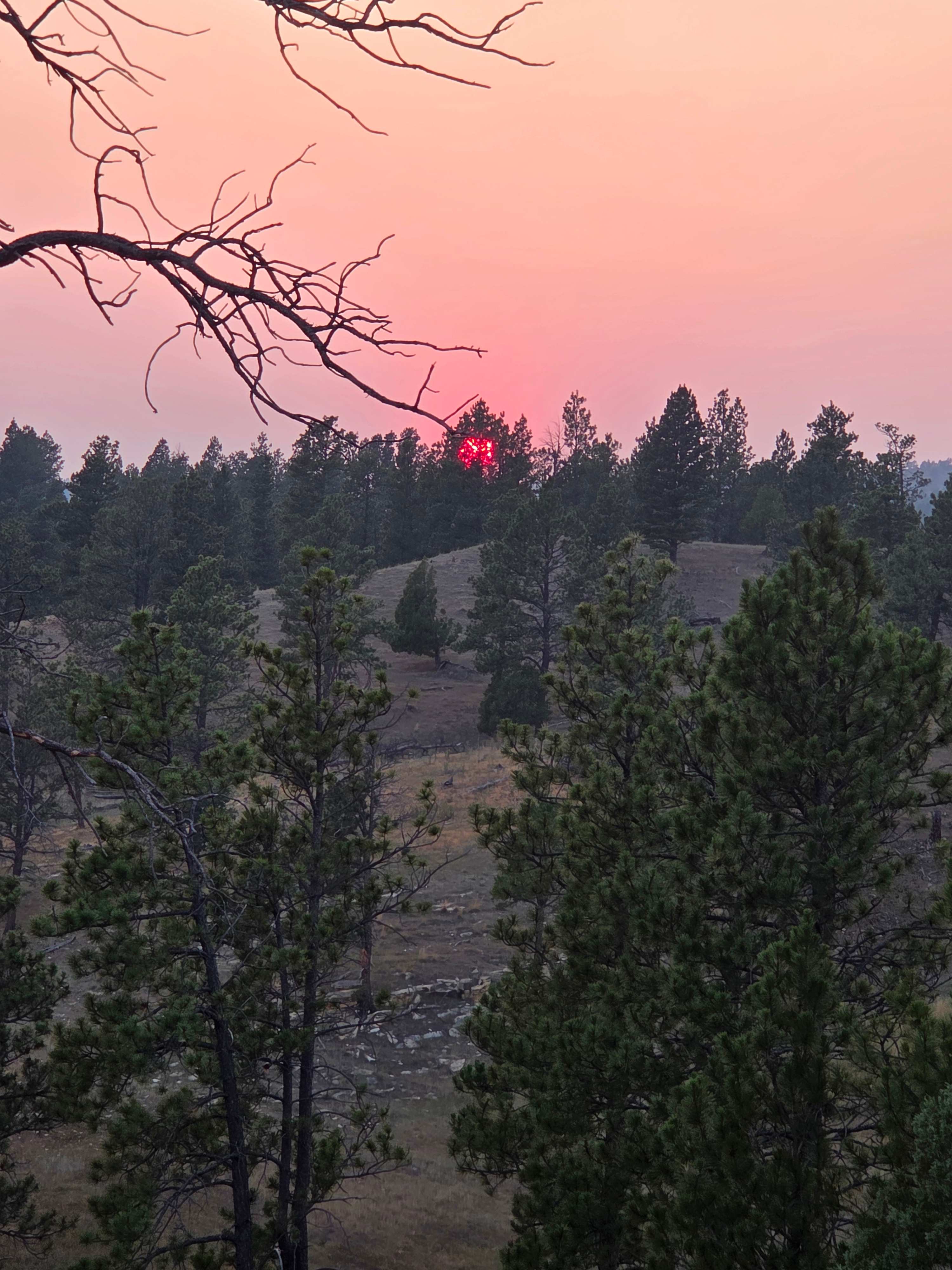 Nuckolls Ranch Inc.