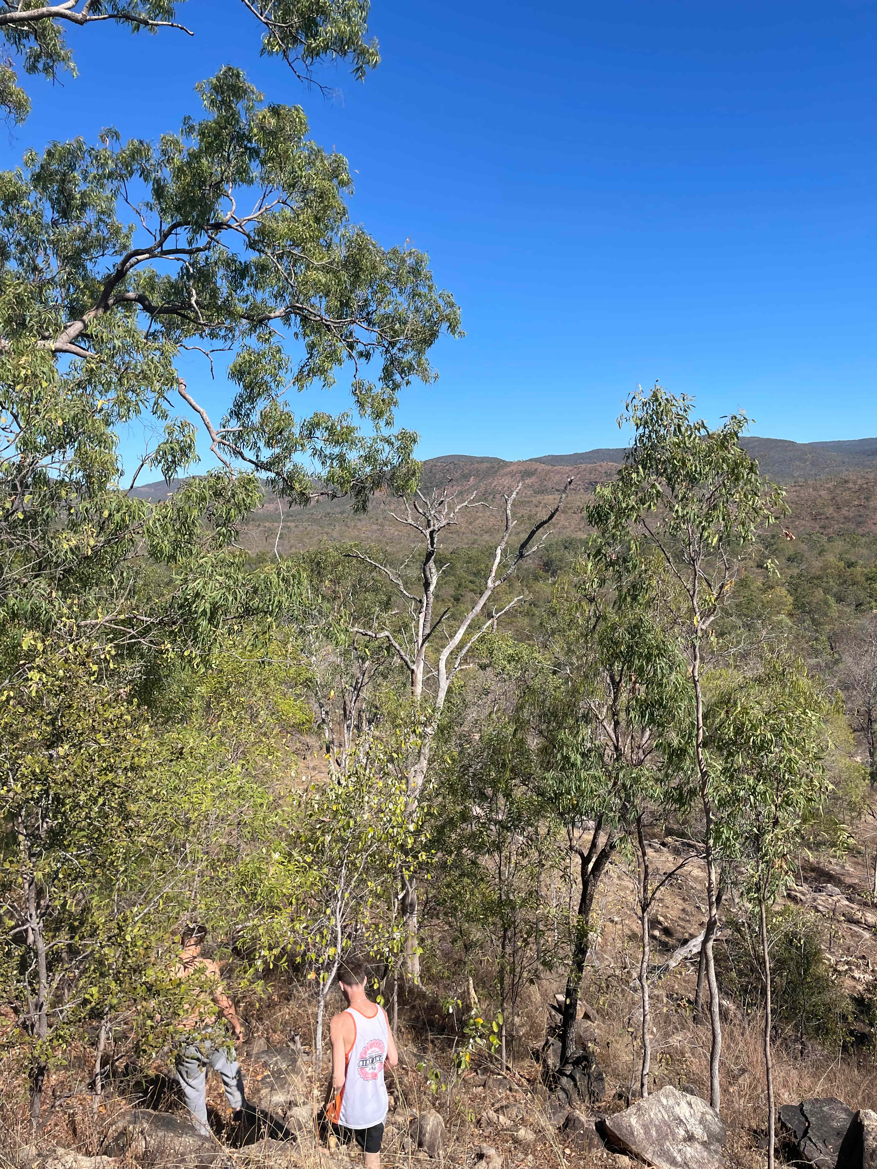 Emu Creek Campsites