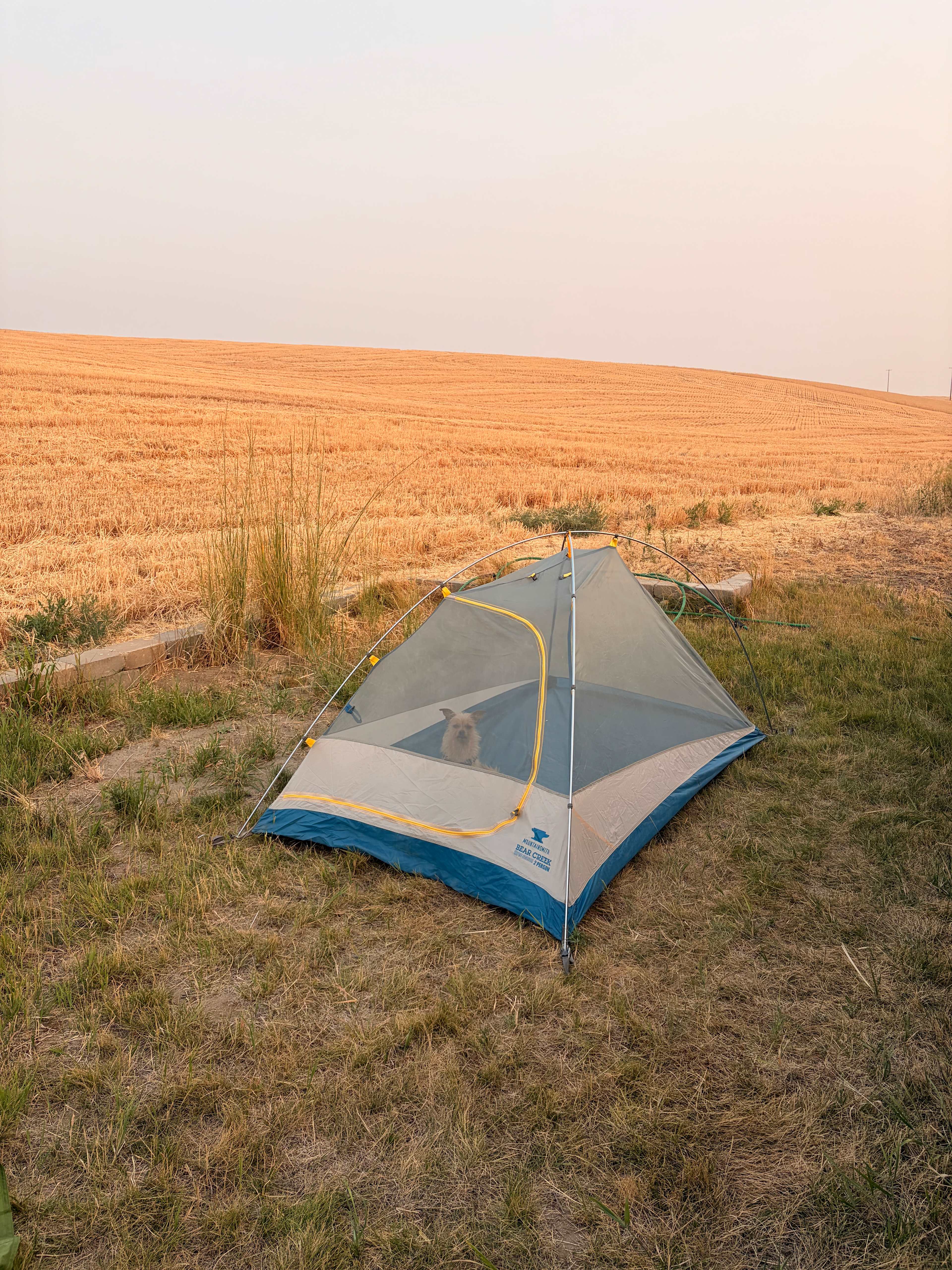 Spacious & Secluded Farm Camping
