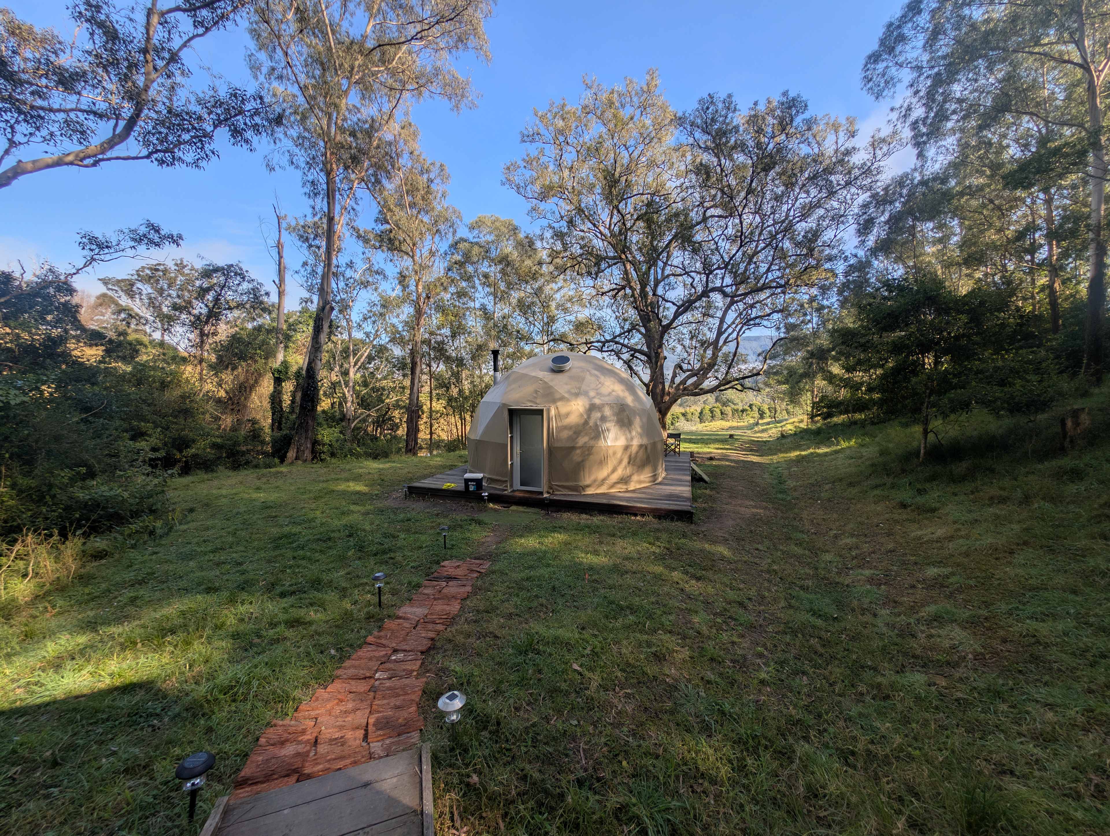 Glamping Around An Ancient Tree