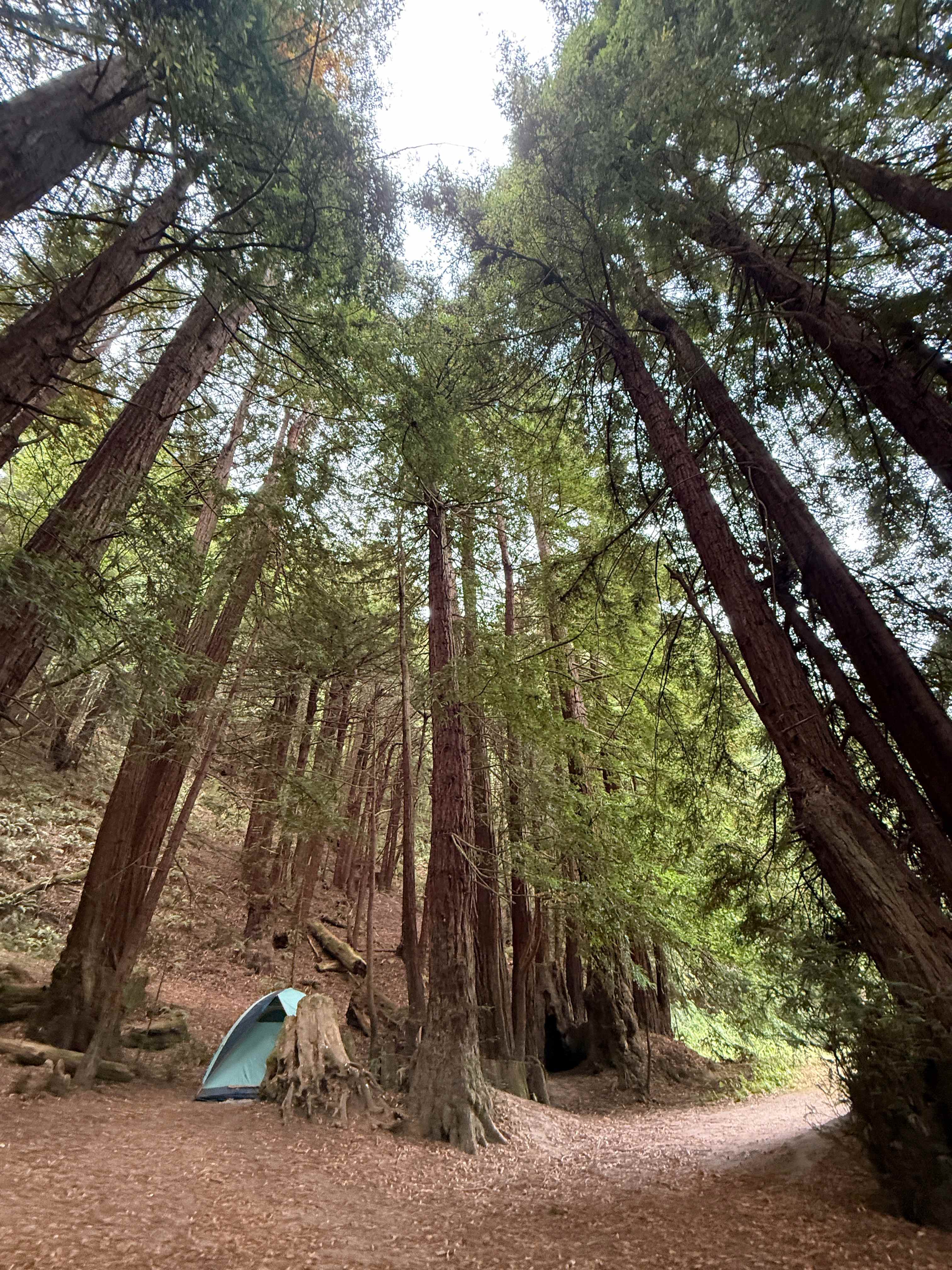 Salmon Creek Ranch