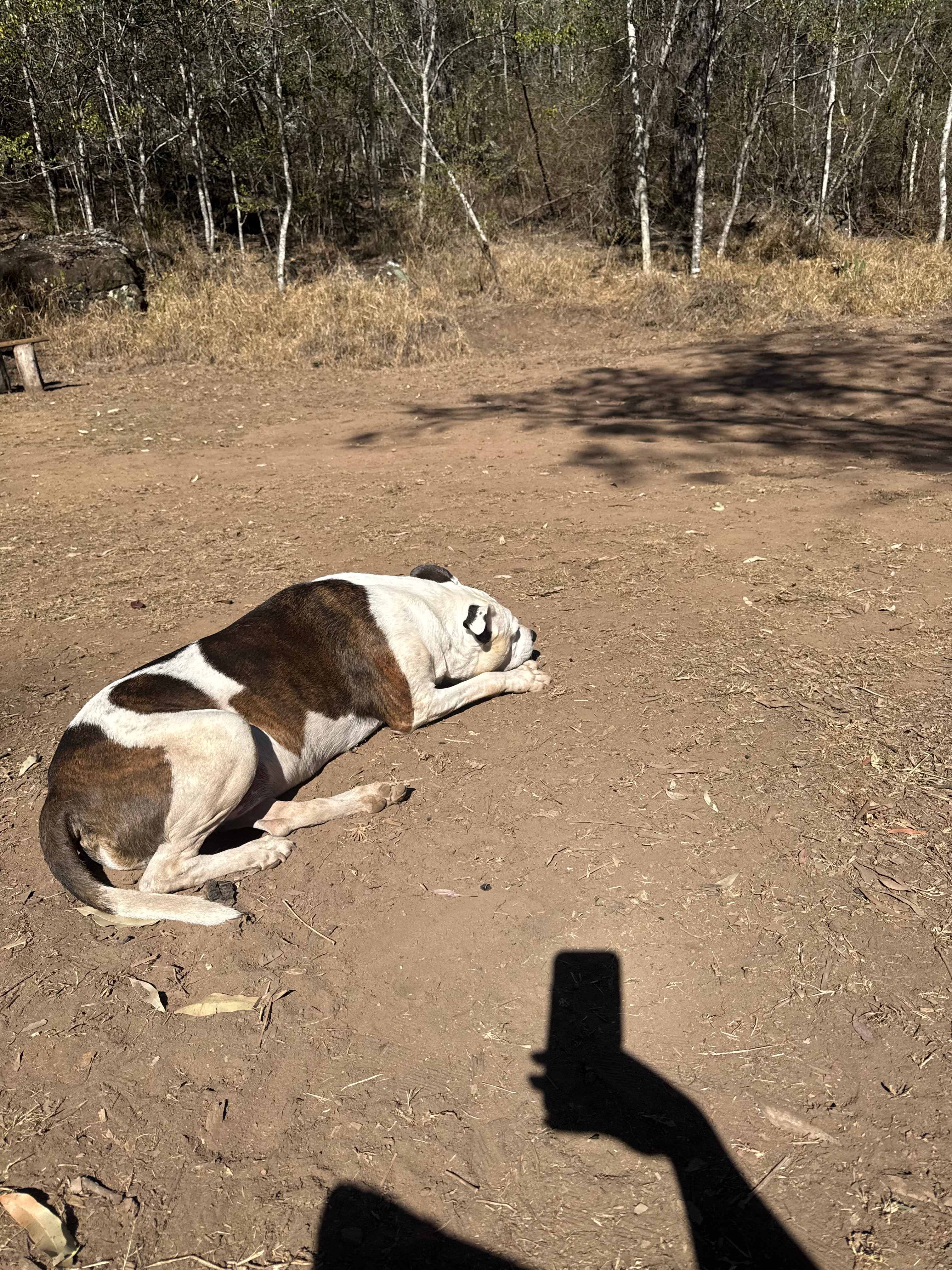 Lalapanzi
