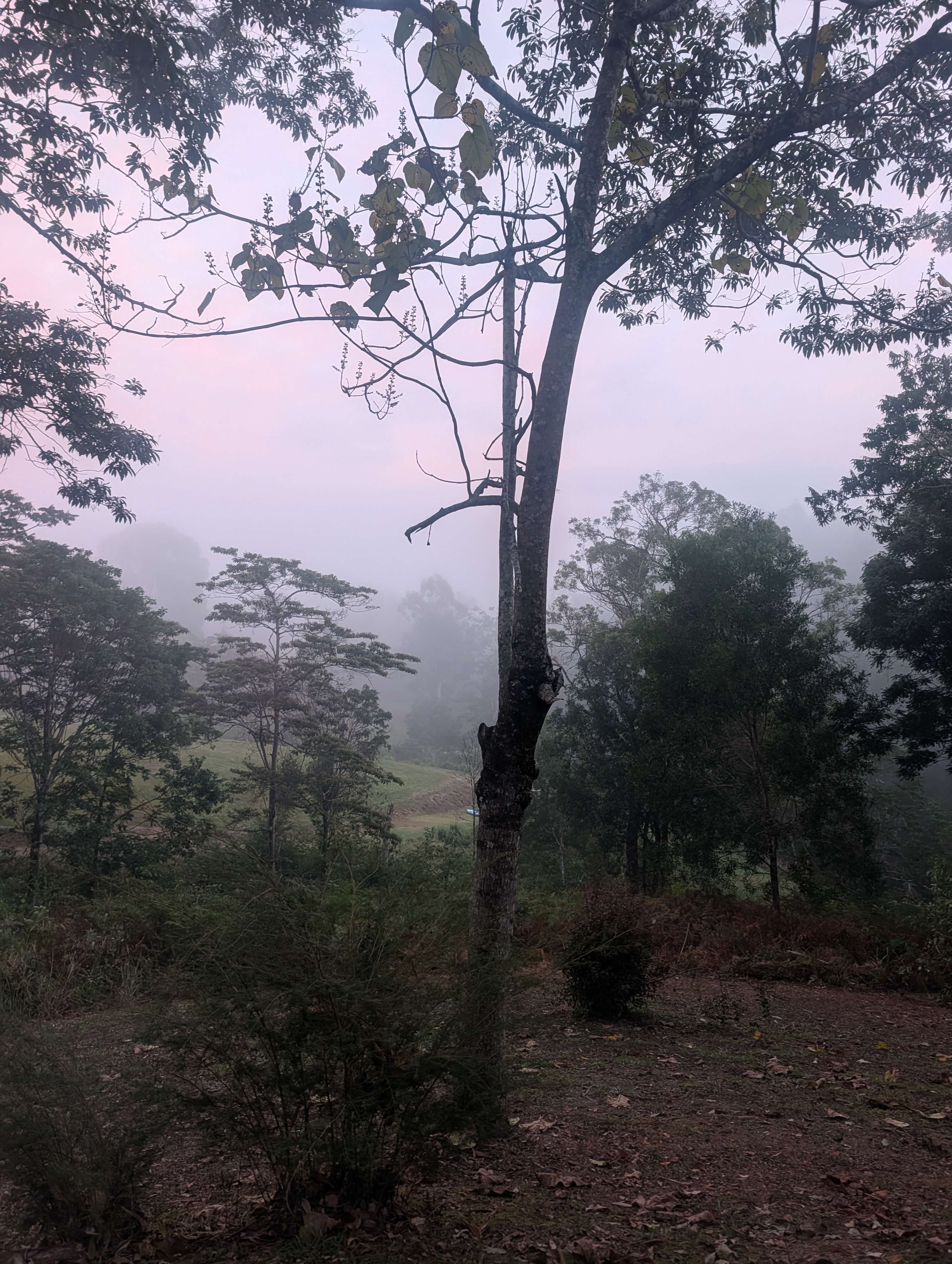 Sarah’s Farm🕊️ 4wd