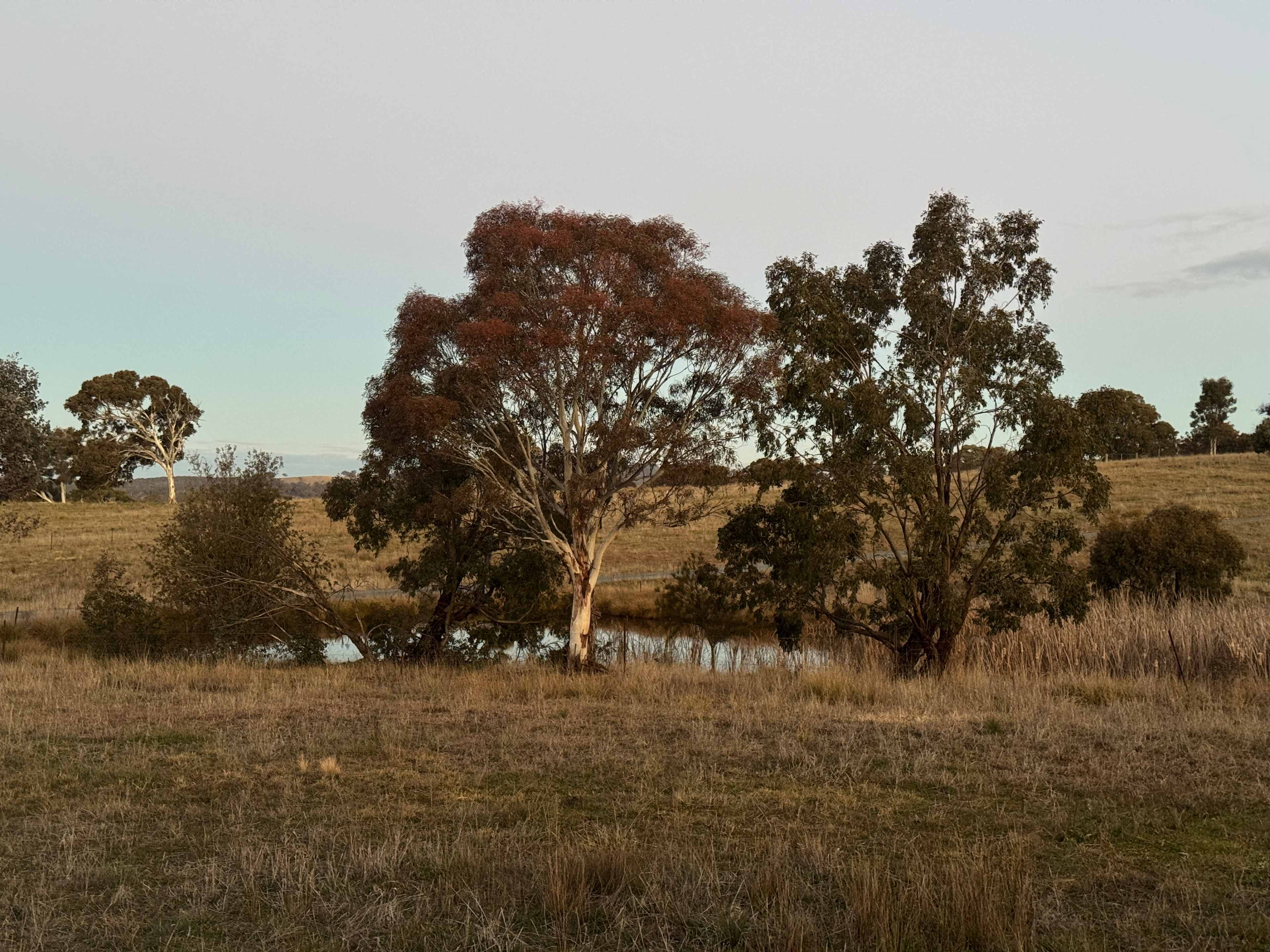 PEACEFUL RURAL PROPERTY SUTTON, NSW