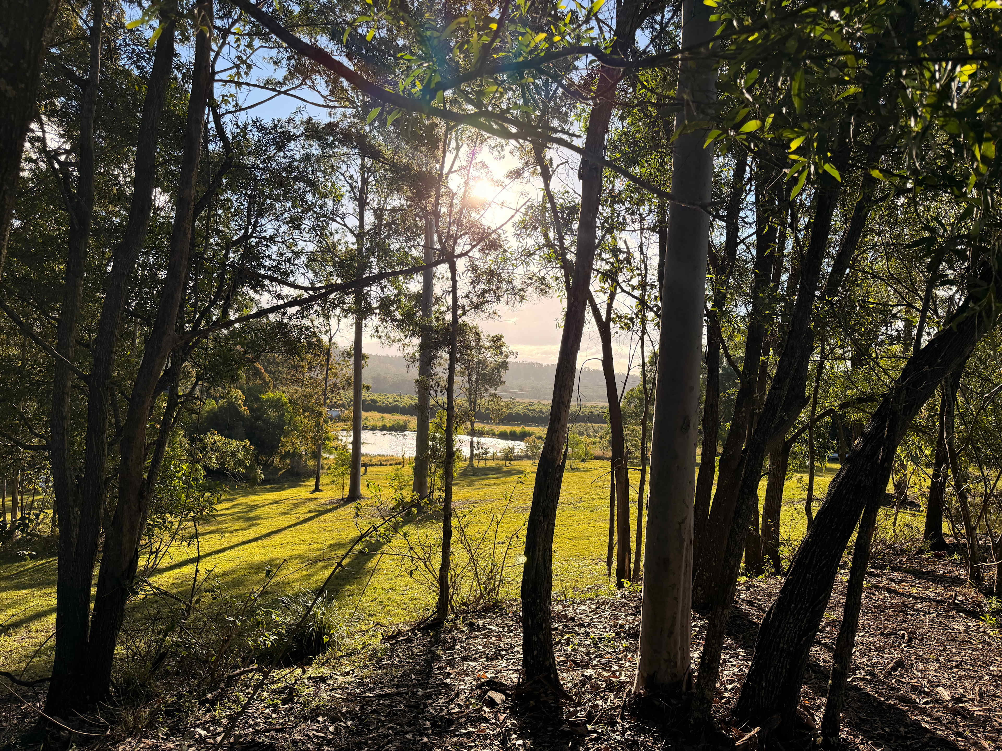Mororo Hobby Farm