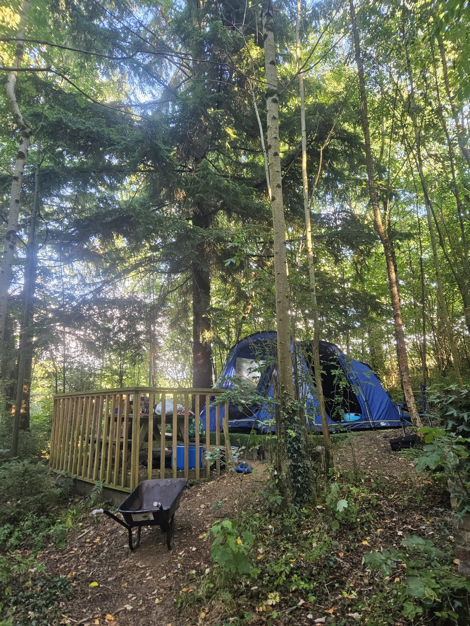 Celtic Woodland Holidays