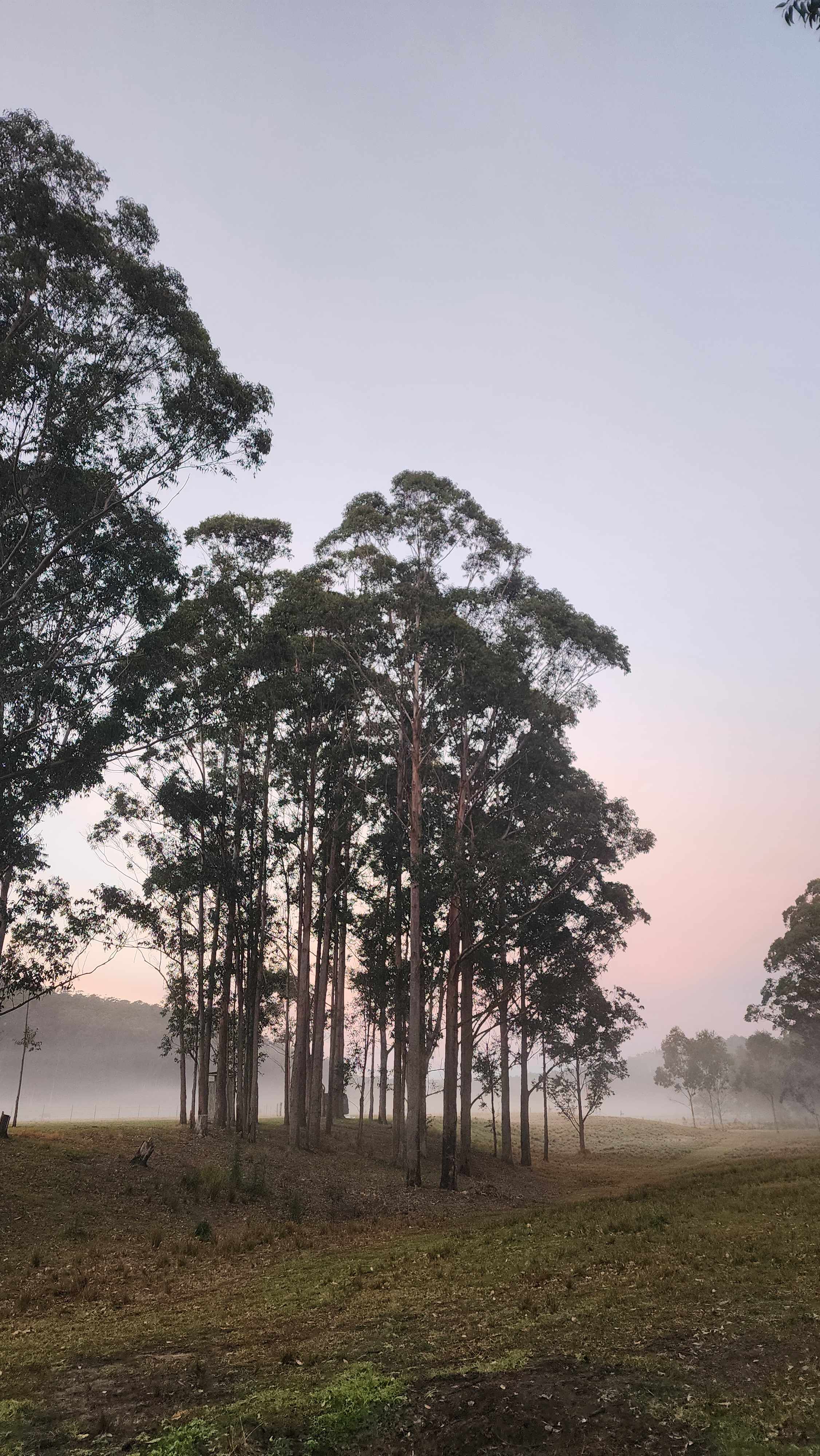 Kookaburra – Peaceful Bush Escape