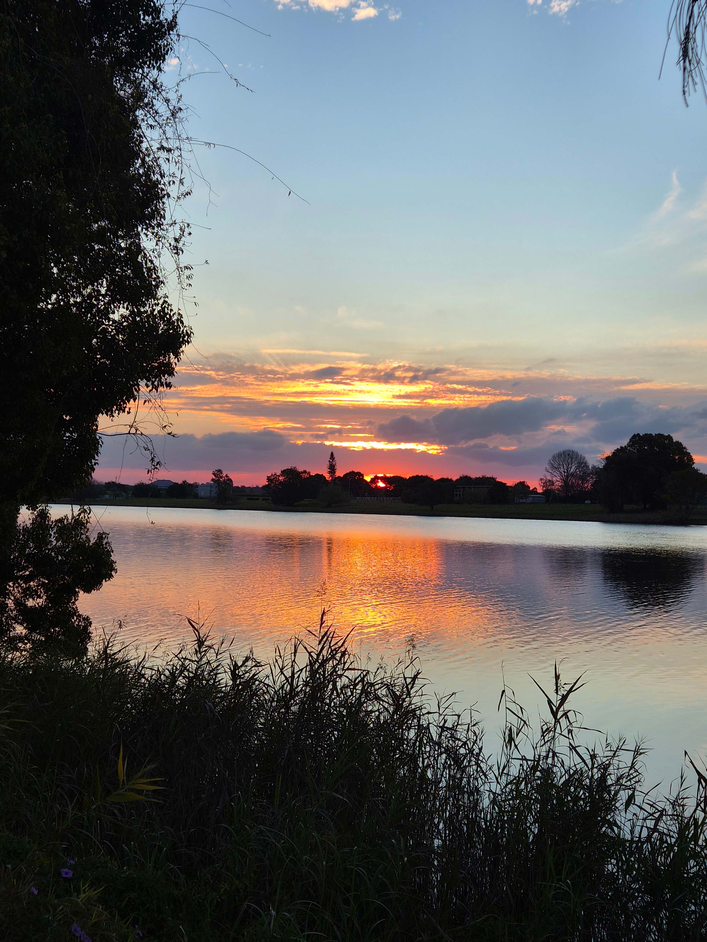 River terrace camping Cowper 2460
