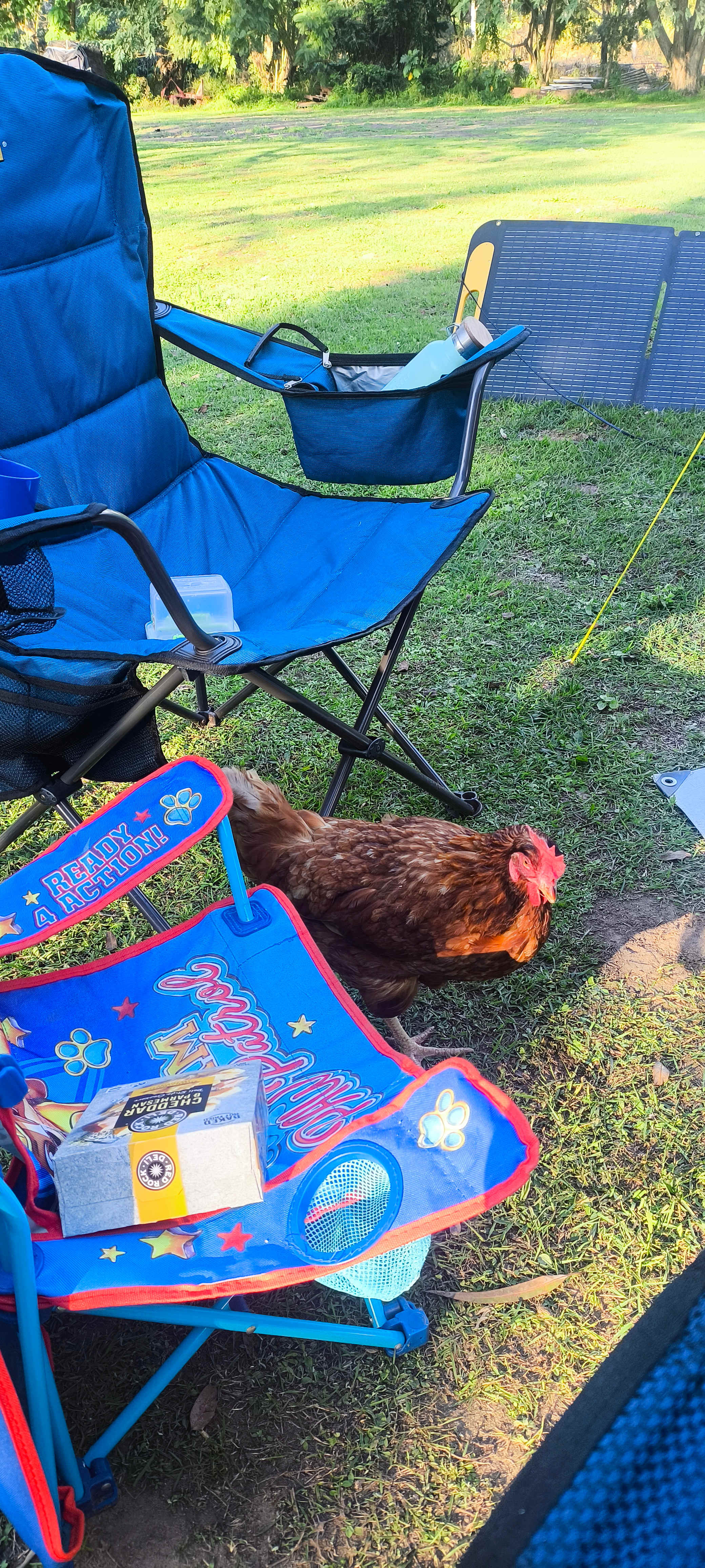 Relaxed Tamborine Village Farm Camp