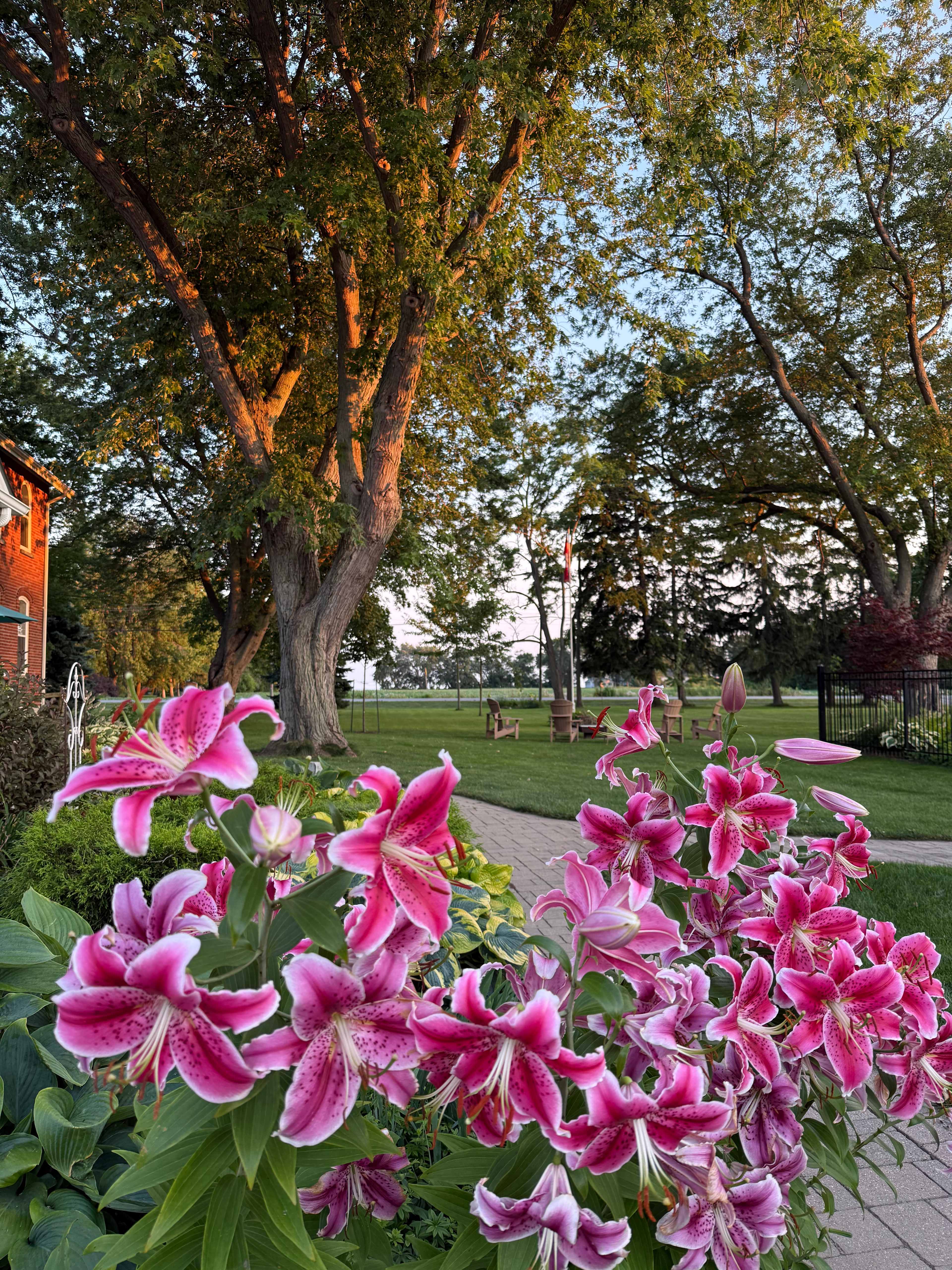 RV Farm Stay in Wine Country