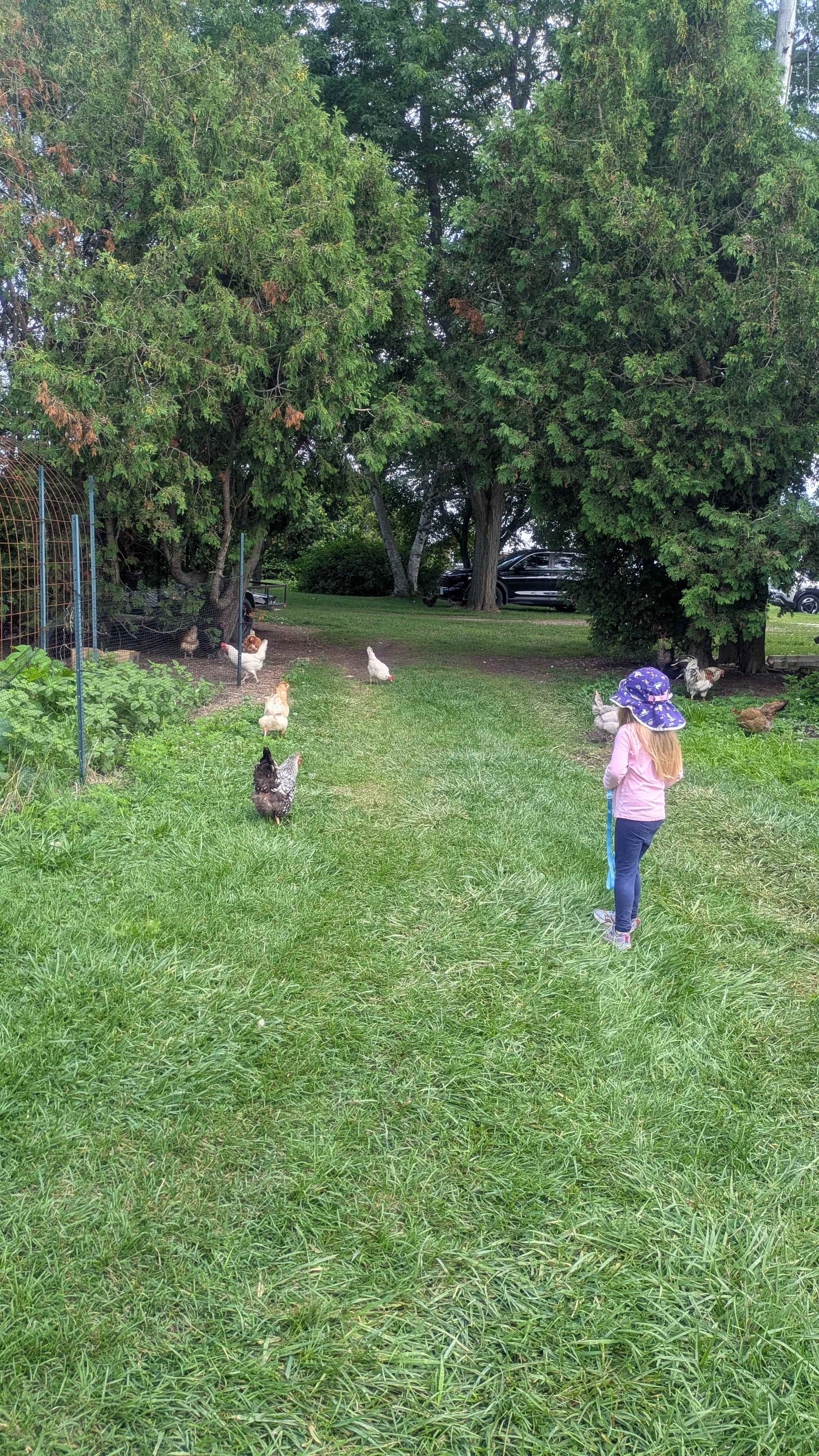 Grayhurst Farm
