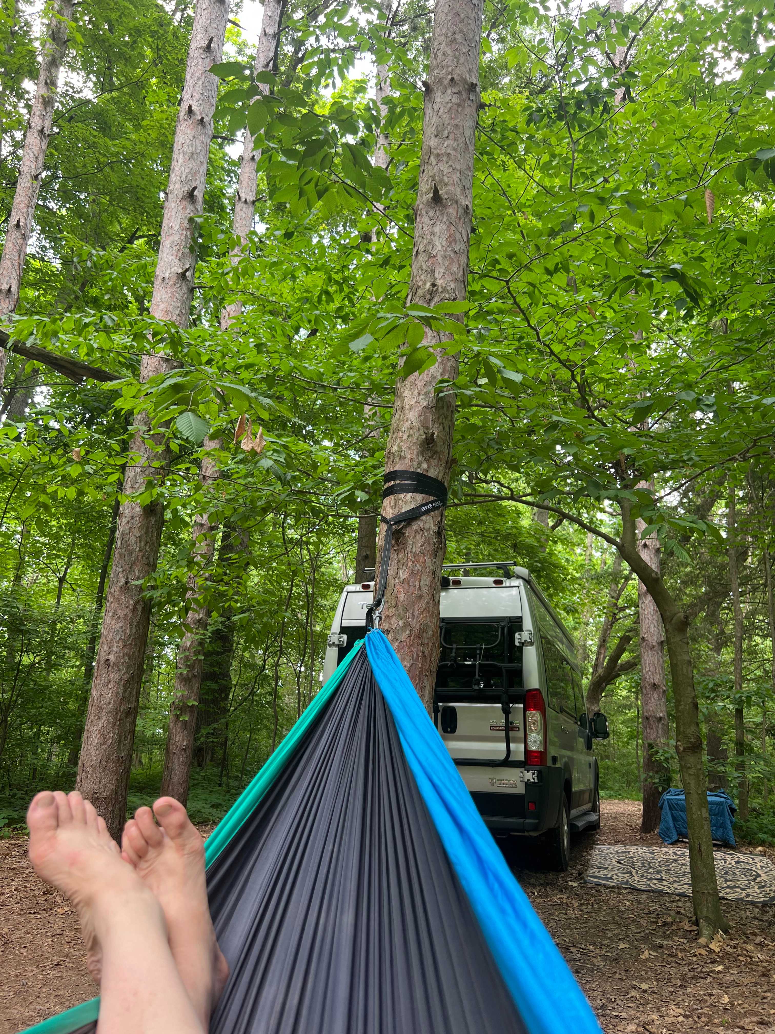 Life Adventures