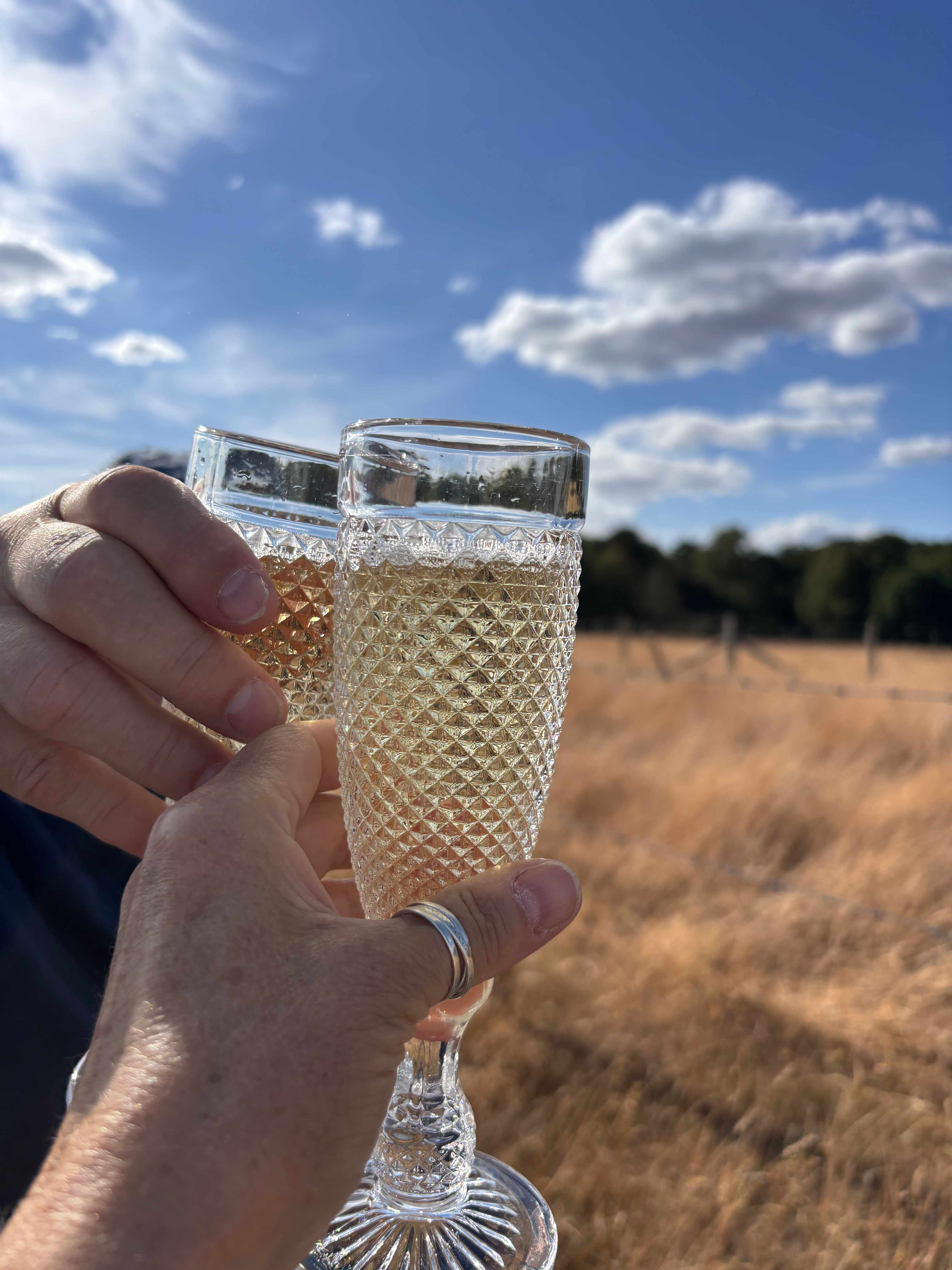Muddycreek Farm (New Forest)