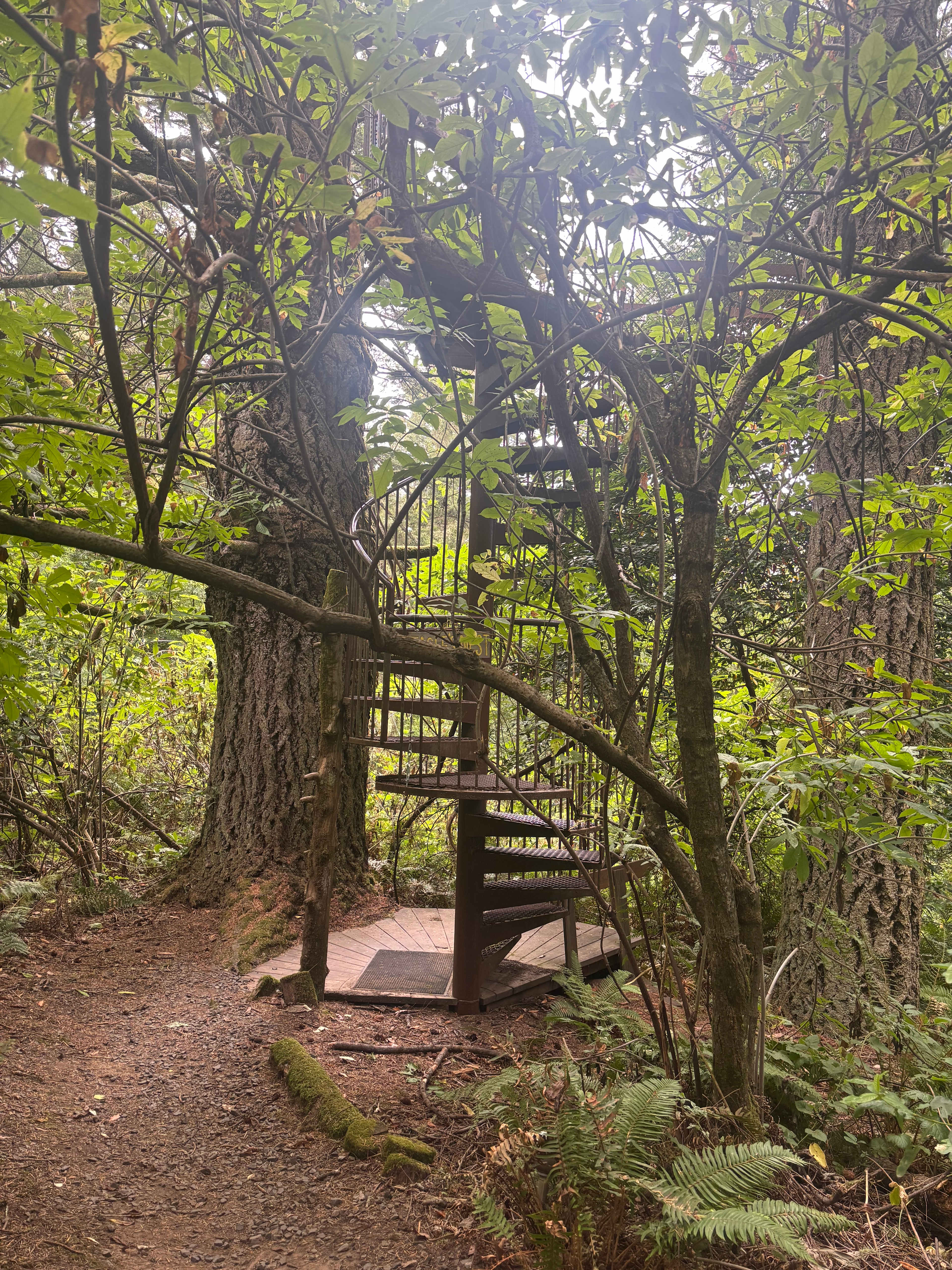Salmon Creek Ranch