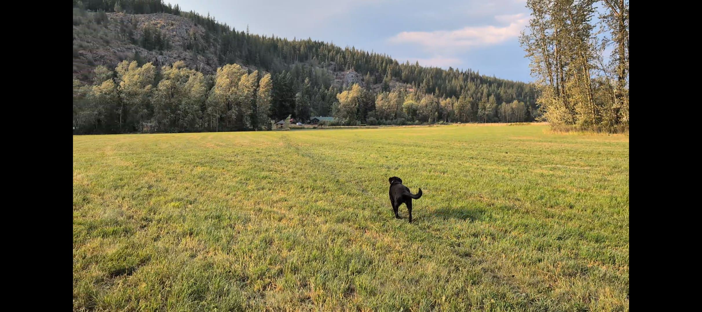 A piece of the salmon valley