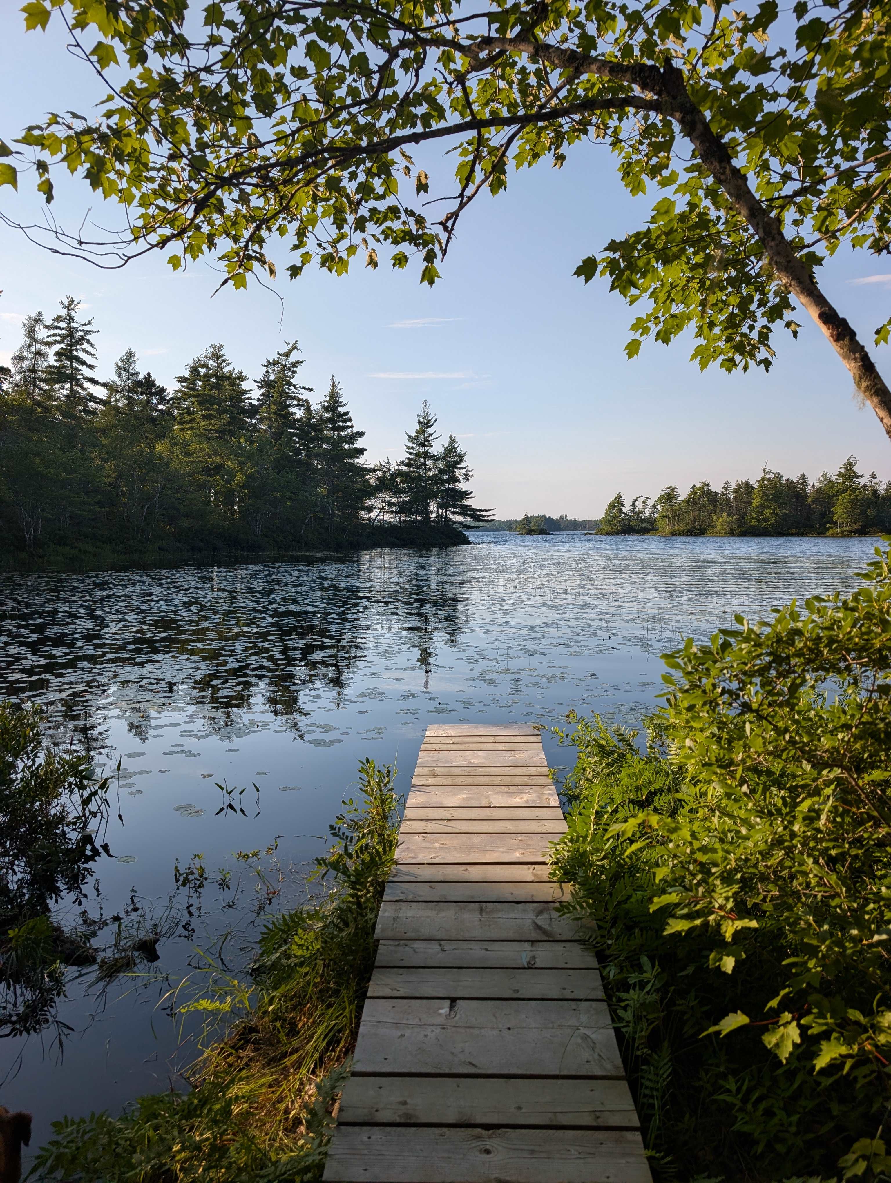 The Cove at Hirtle Lake