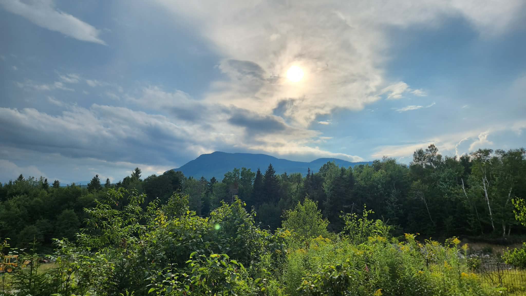 Evening View