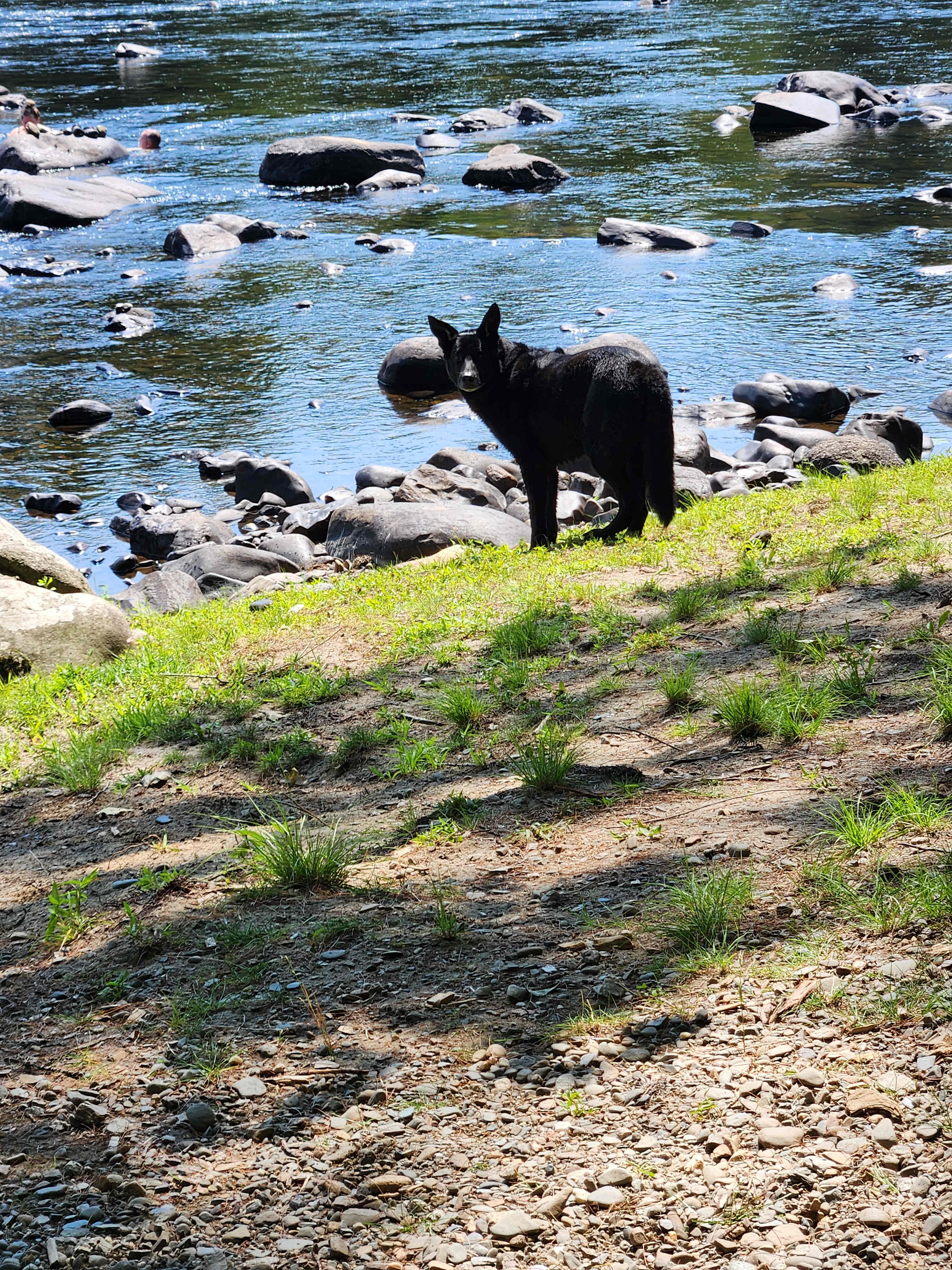Piscataquis Point
