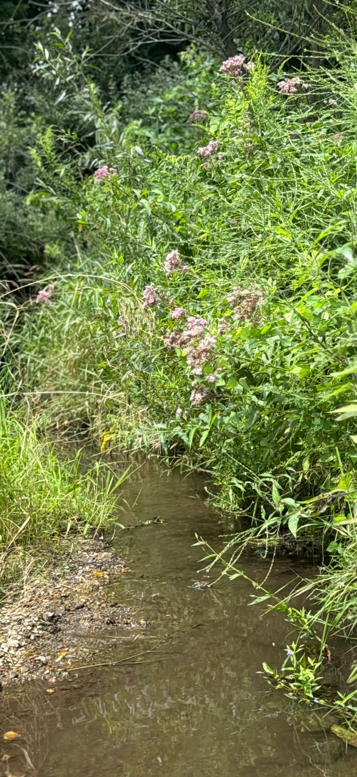 Boone Farm & Forest