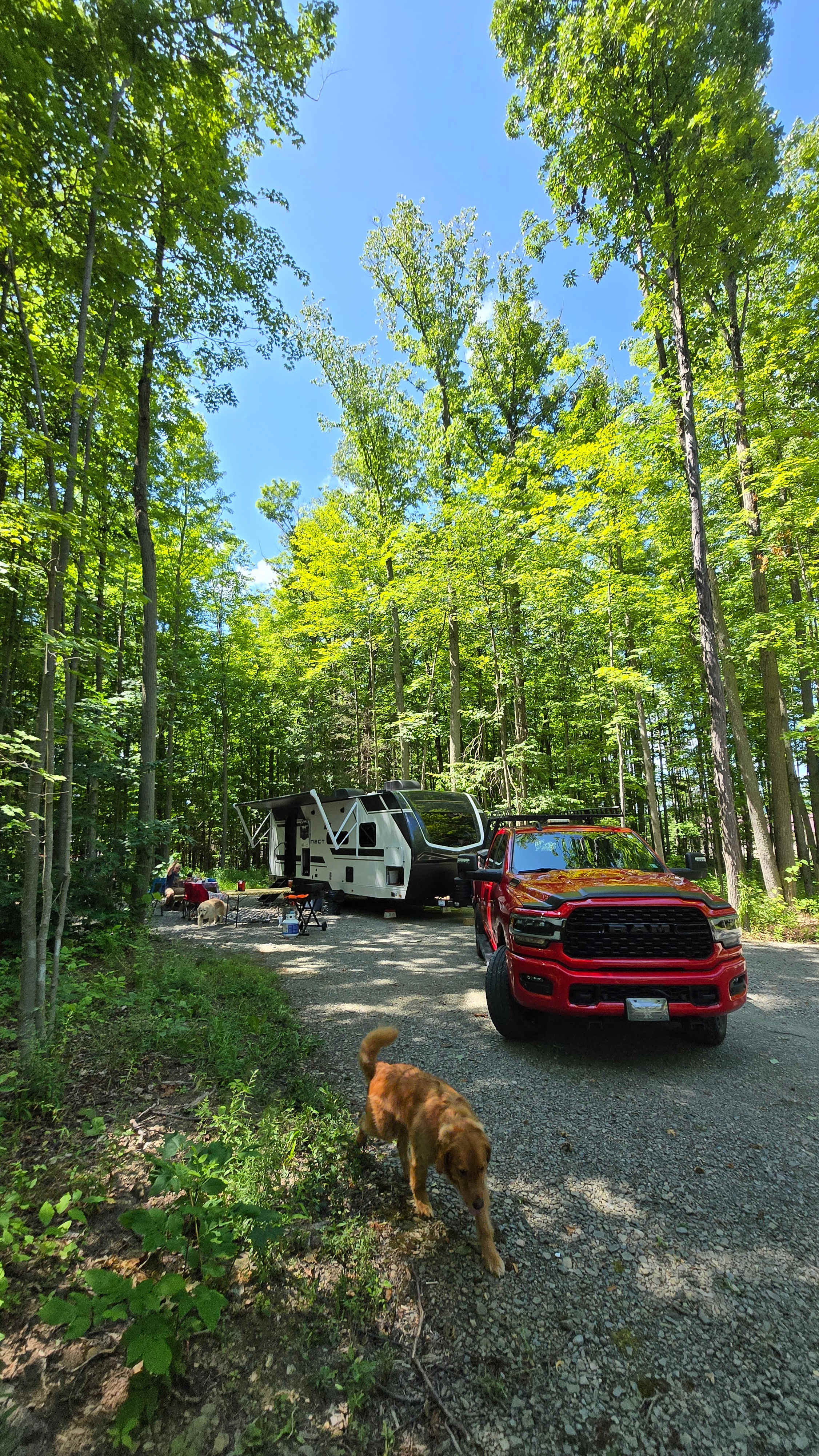 RV/Camper Sites in Watkins Glen NY