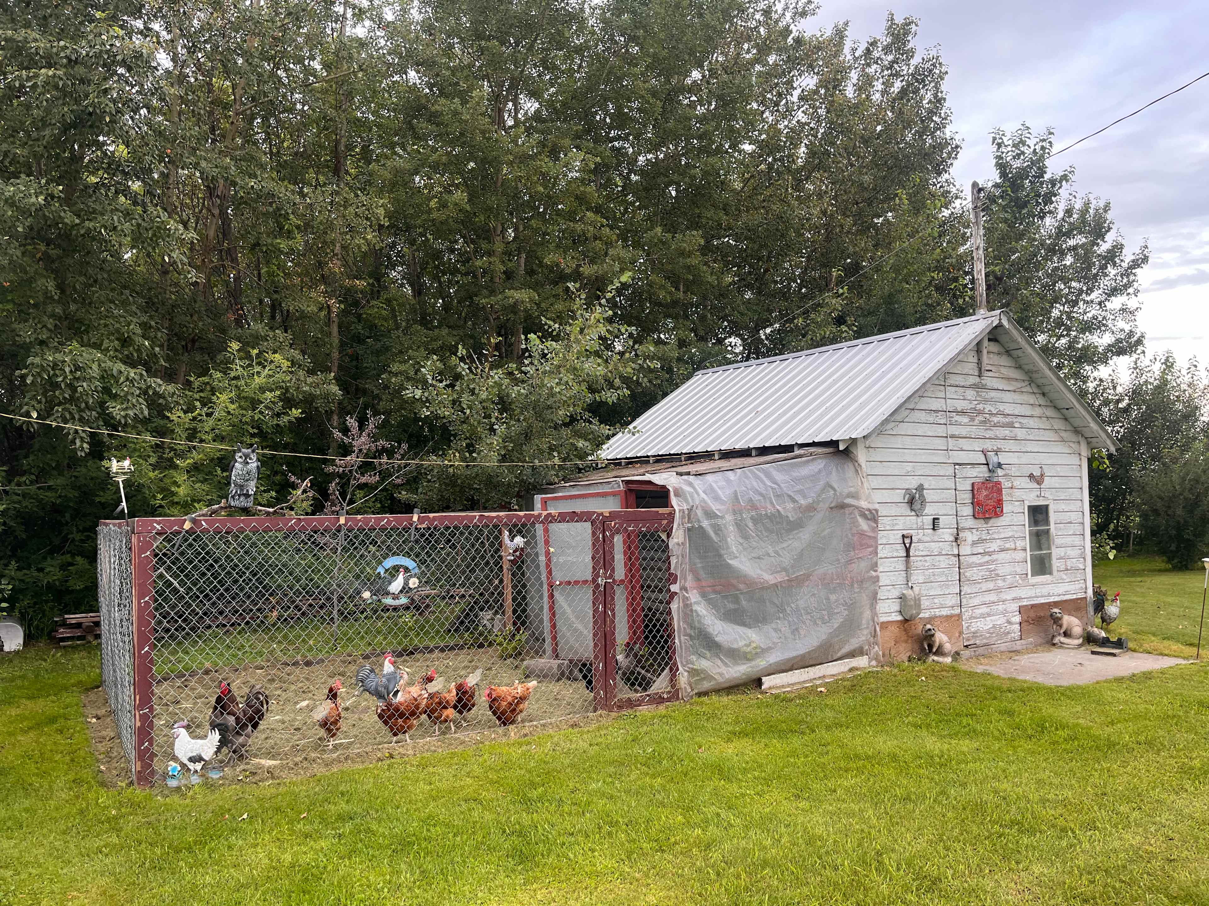 Red Rock Farm
