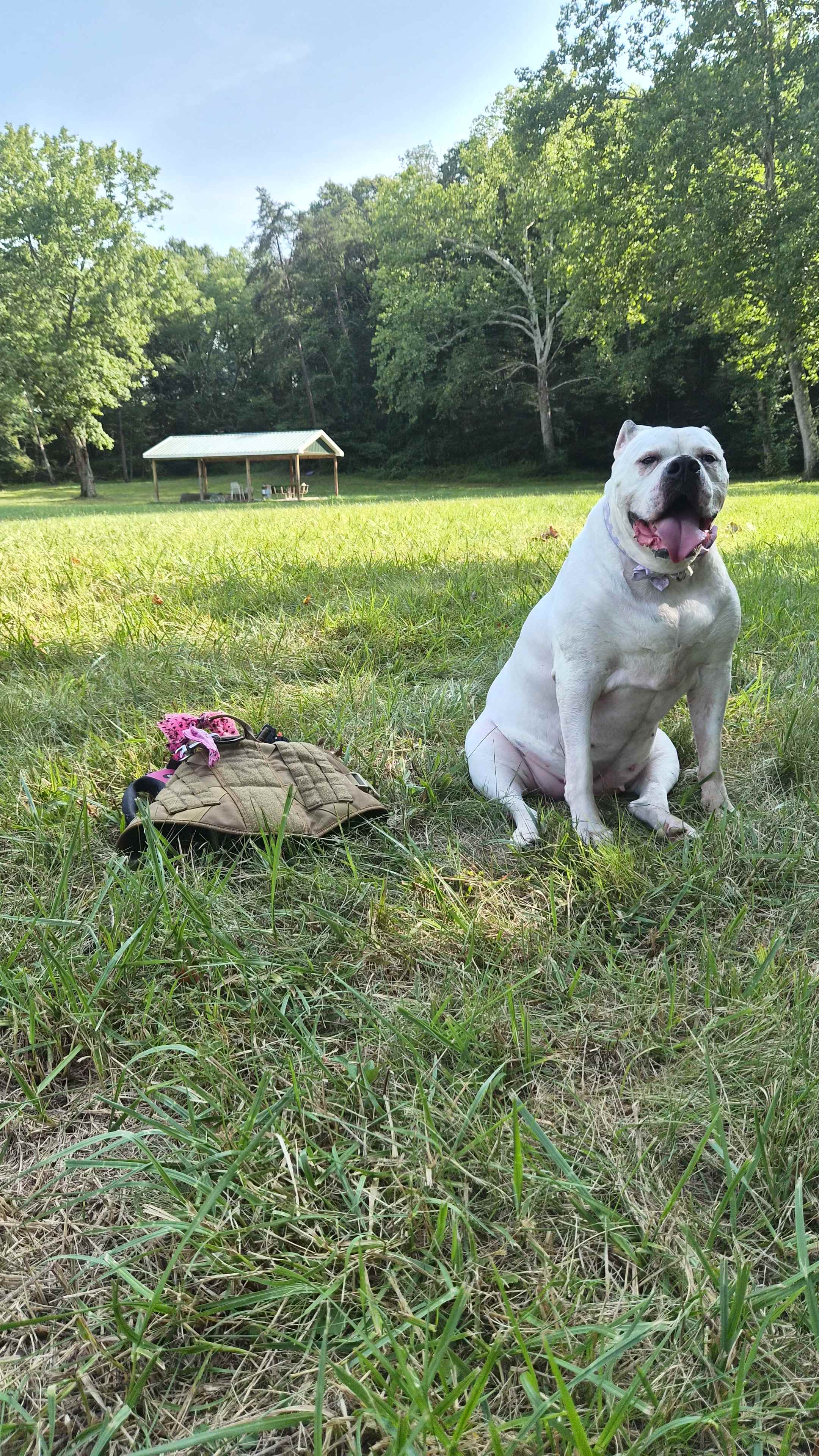 A 1000 Miles from Nowhere Cabin