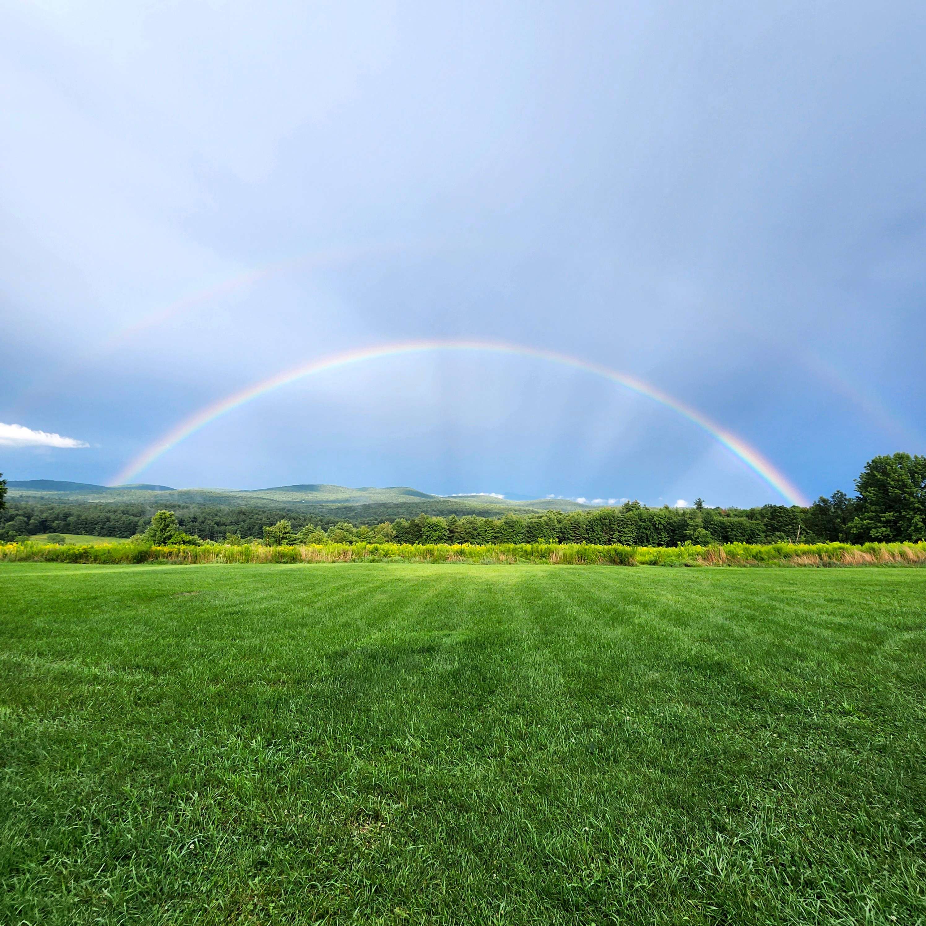 Harold's View Farm