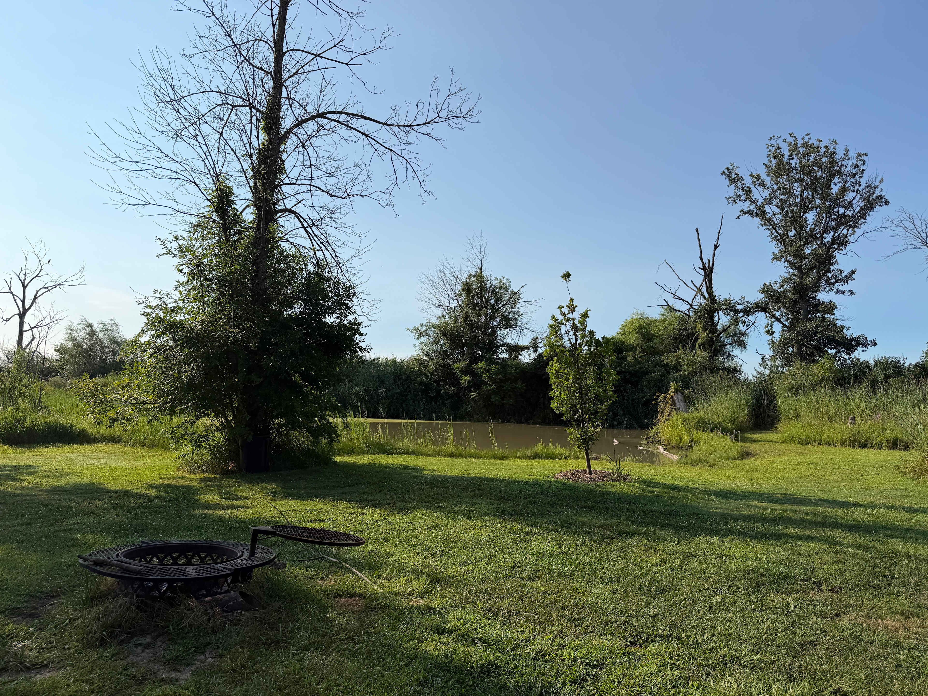 Campsite Grounds Site 4