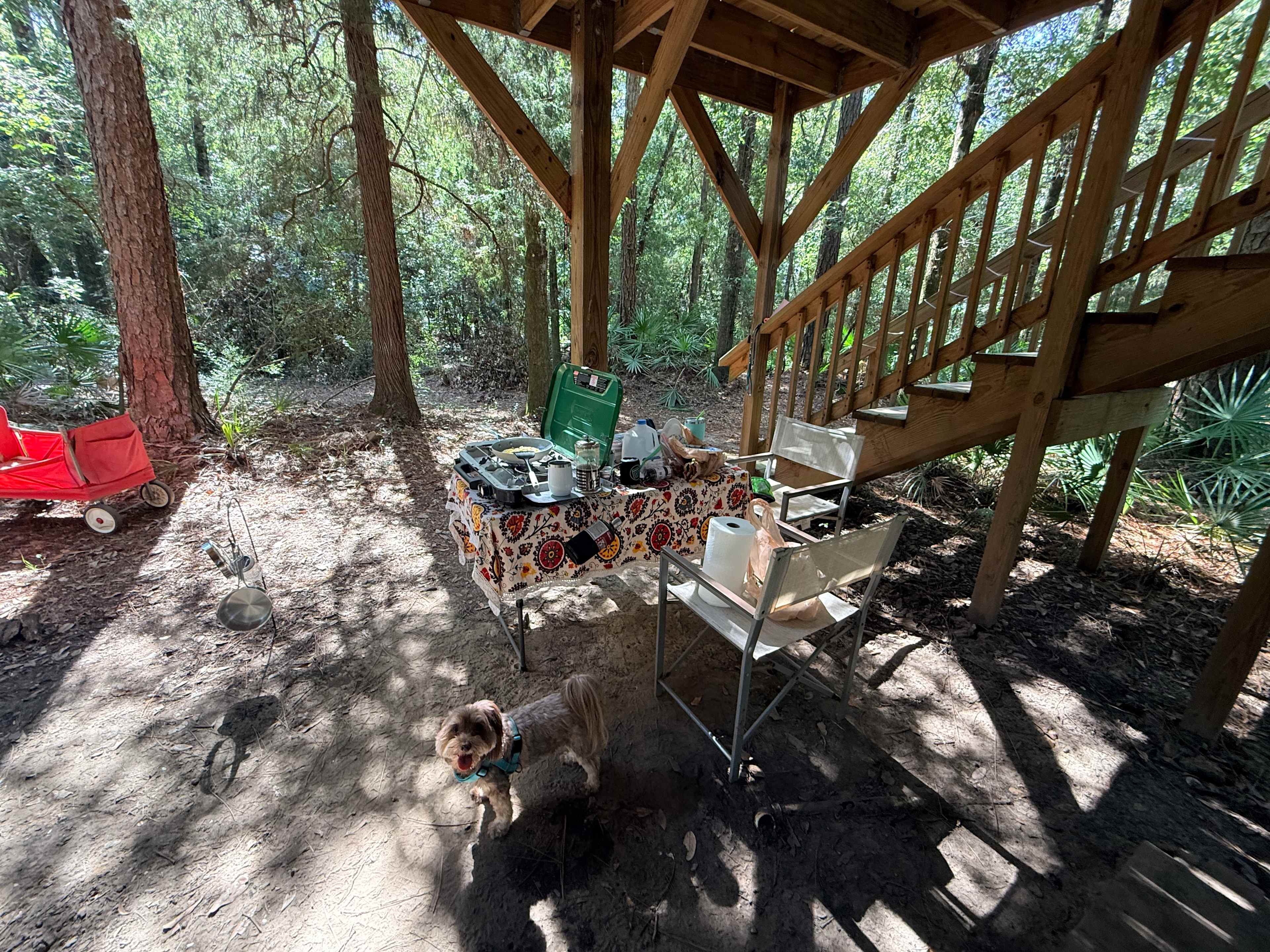 Picture of the site