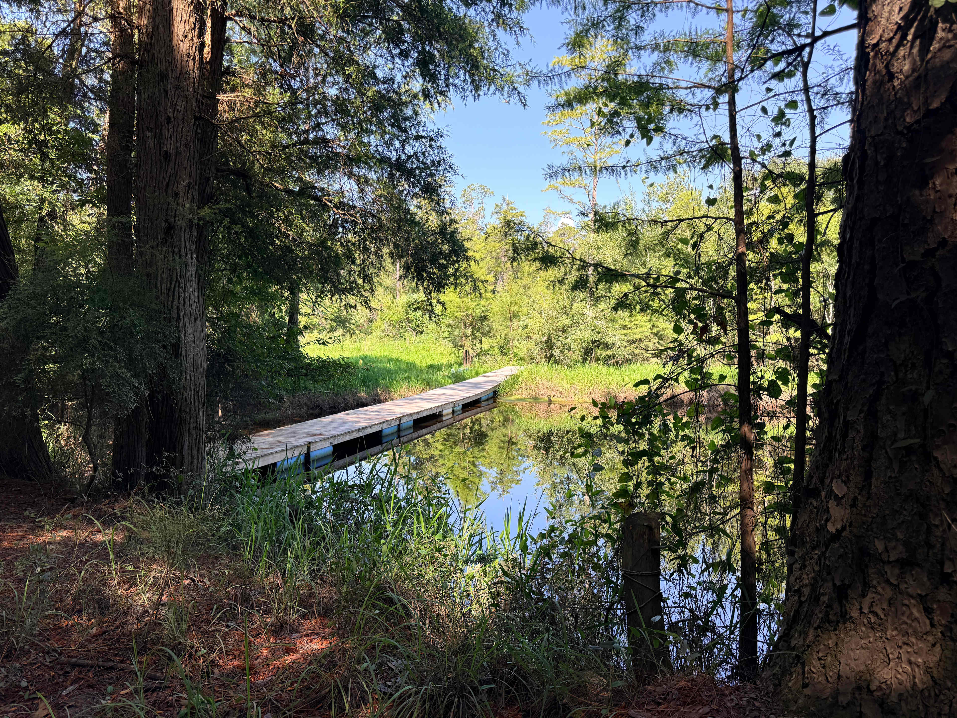 Perdido River Camping Cabin