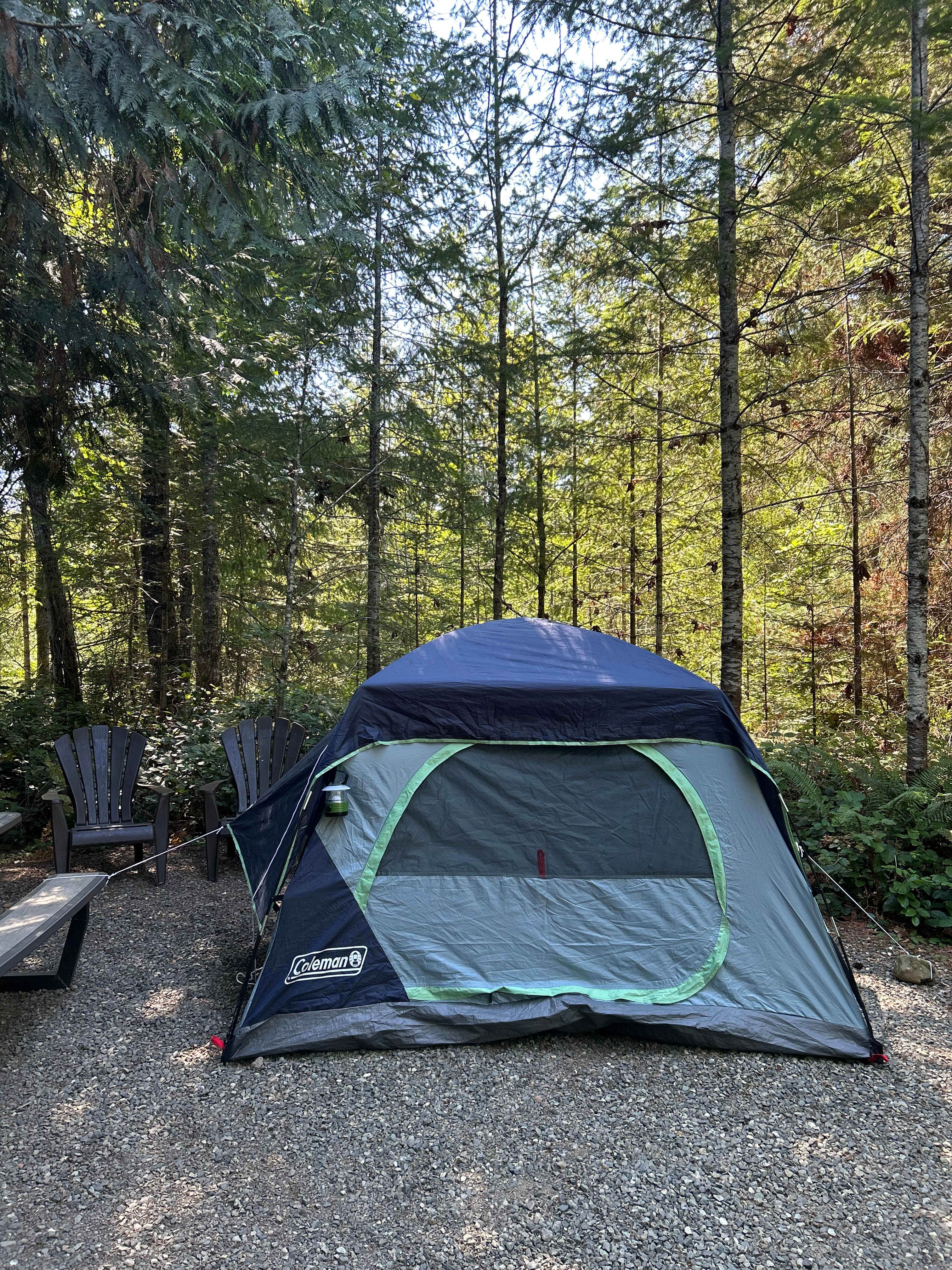 Tyee Valley Farm - Private Forest Sites in the Comox Valley