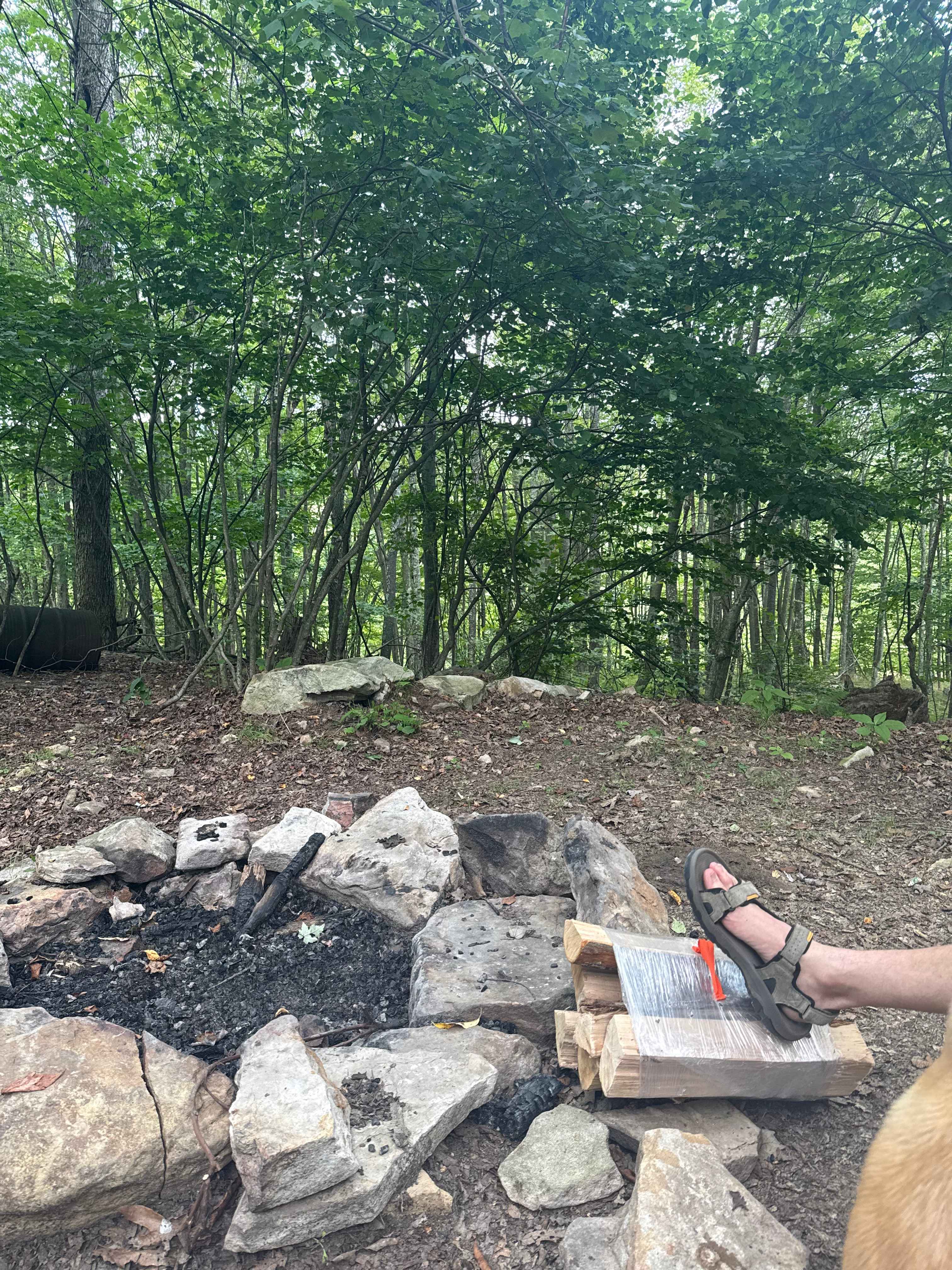 The Oasis at Bear Run Farms