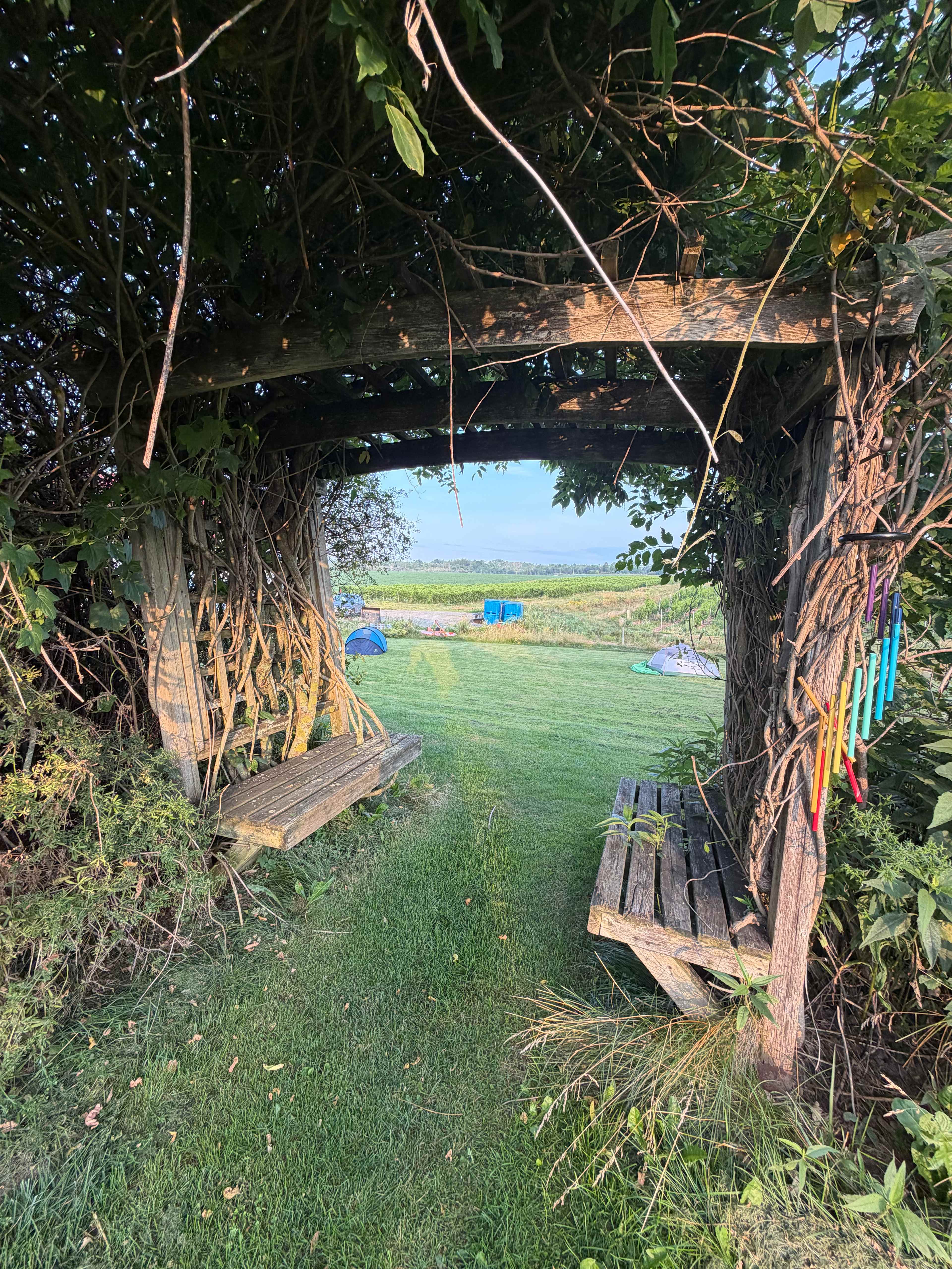 Mumana Vineyards