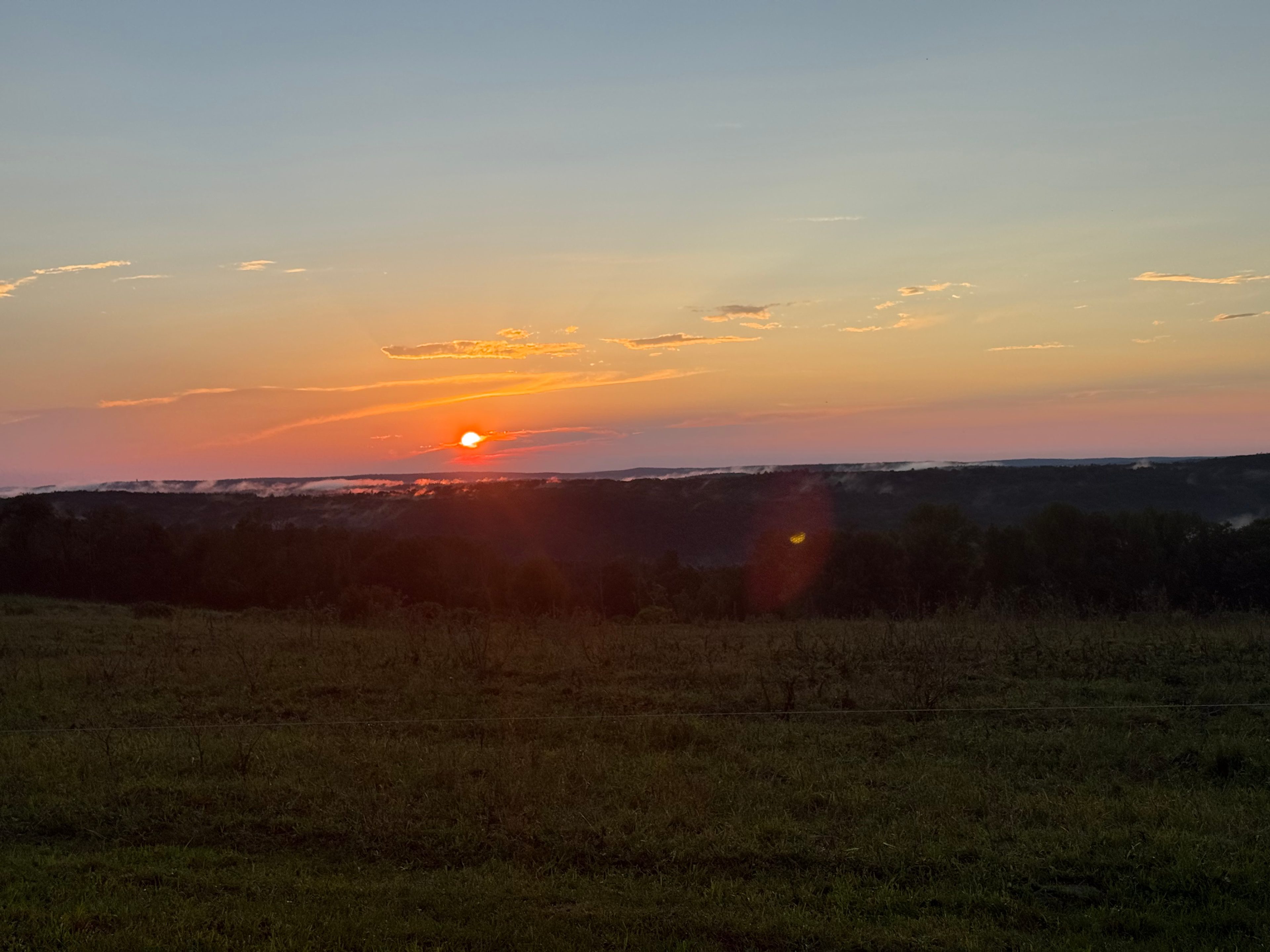 Pleasant View Farm