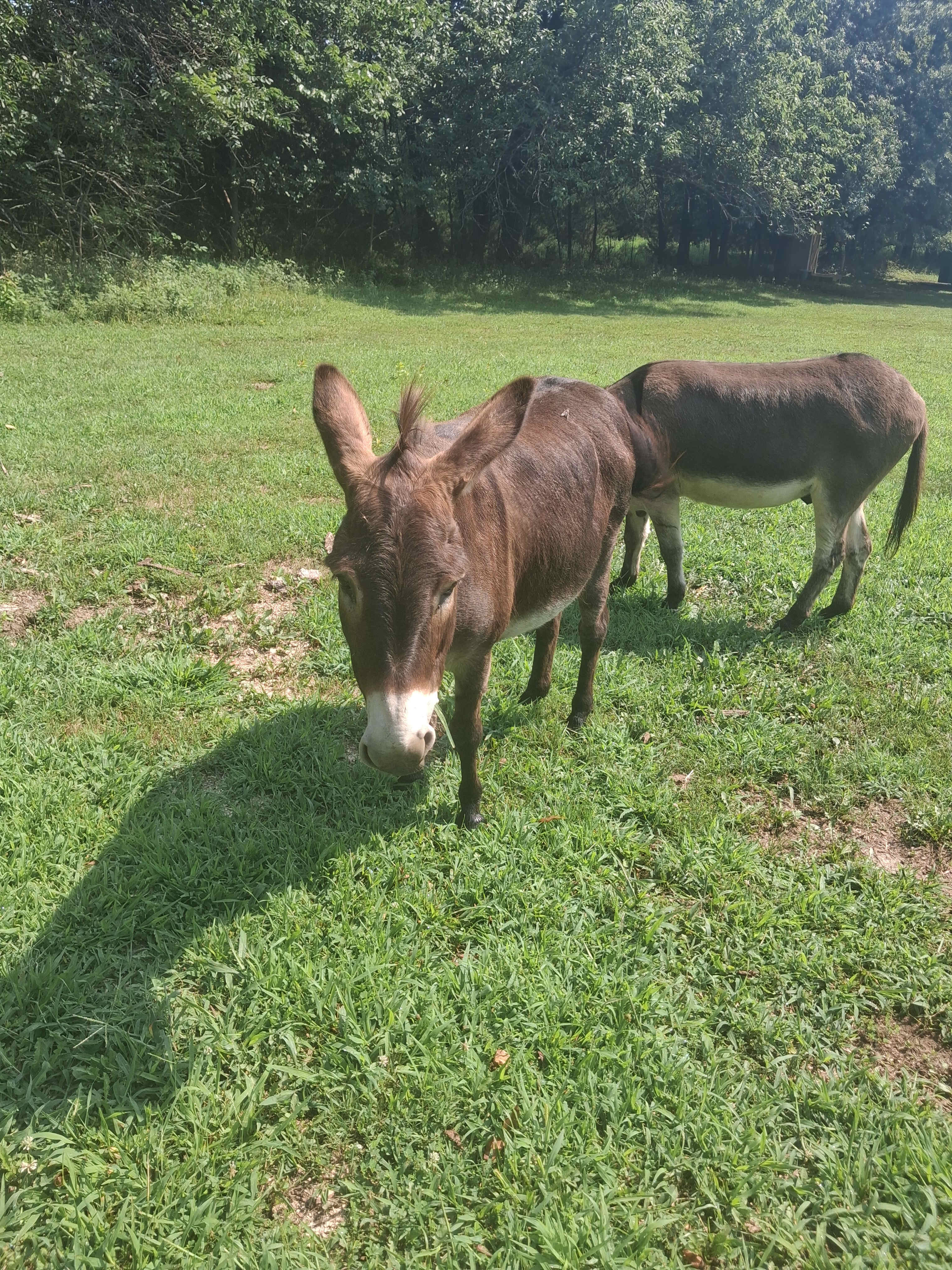 Milo Farm Sacred Land