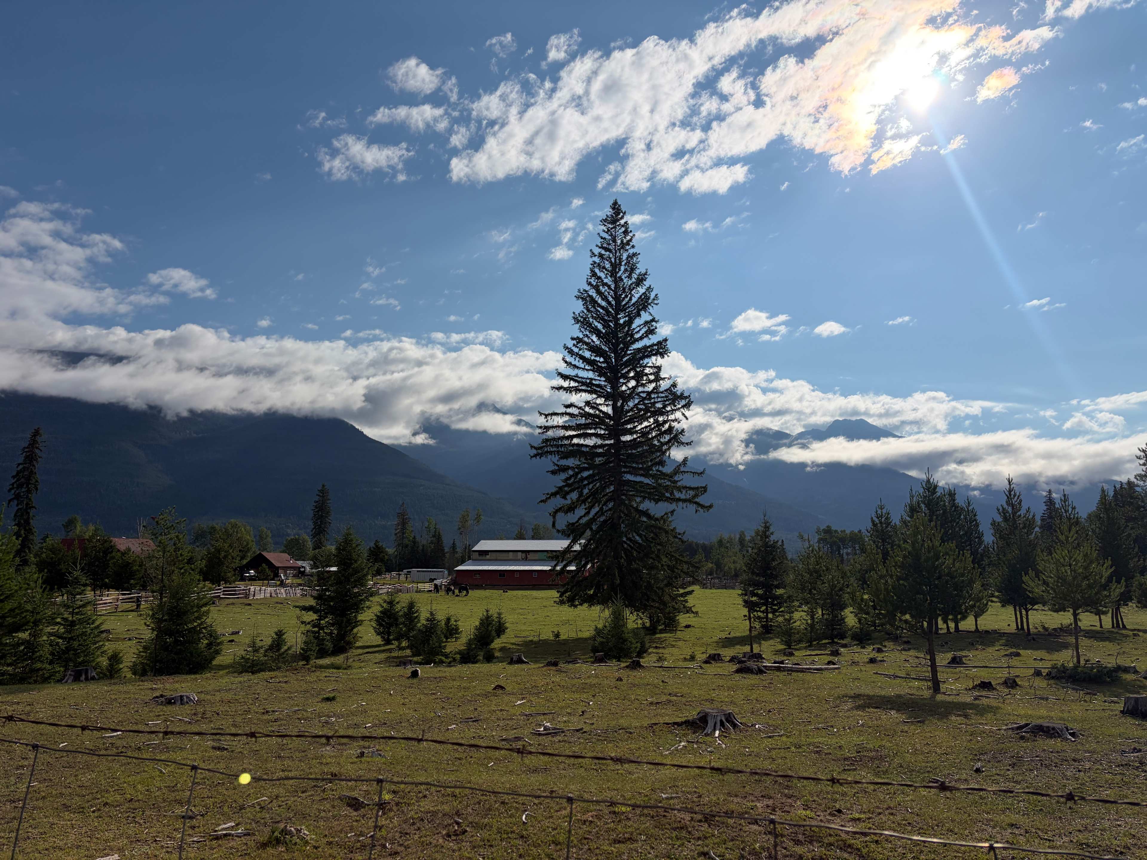 Fuzzy Buddy Ranch