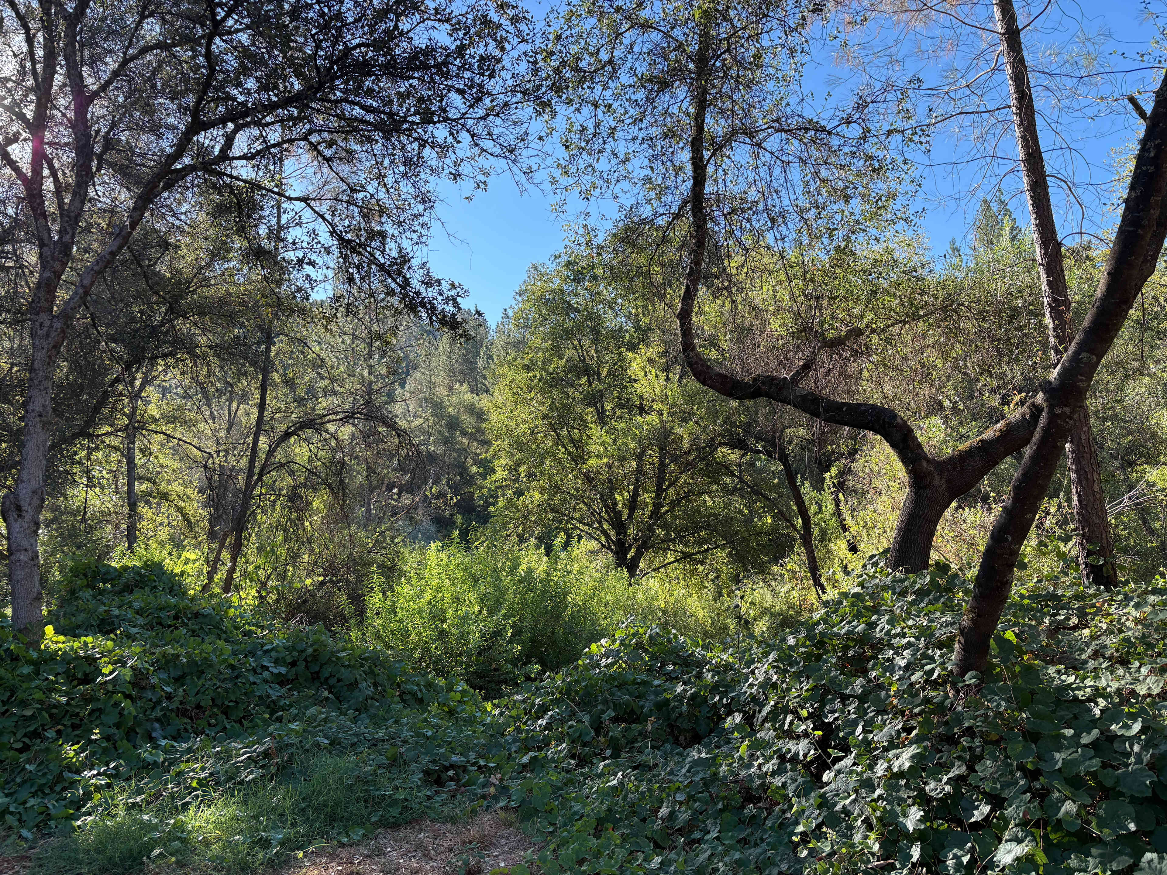 Perfect Getaway with Private Creeks